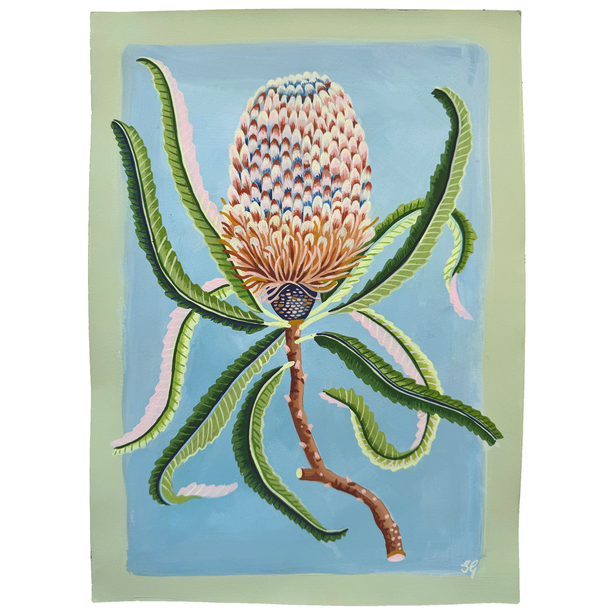 BANKSIA on pale blue 10"x14"