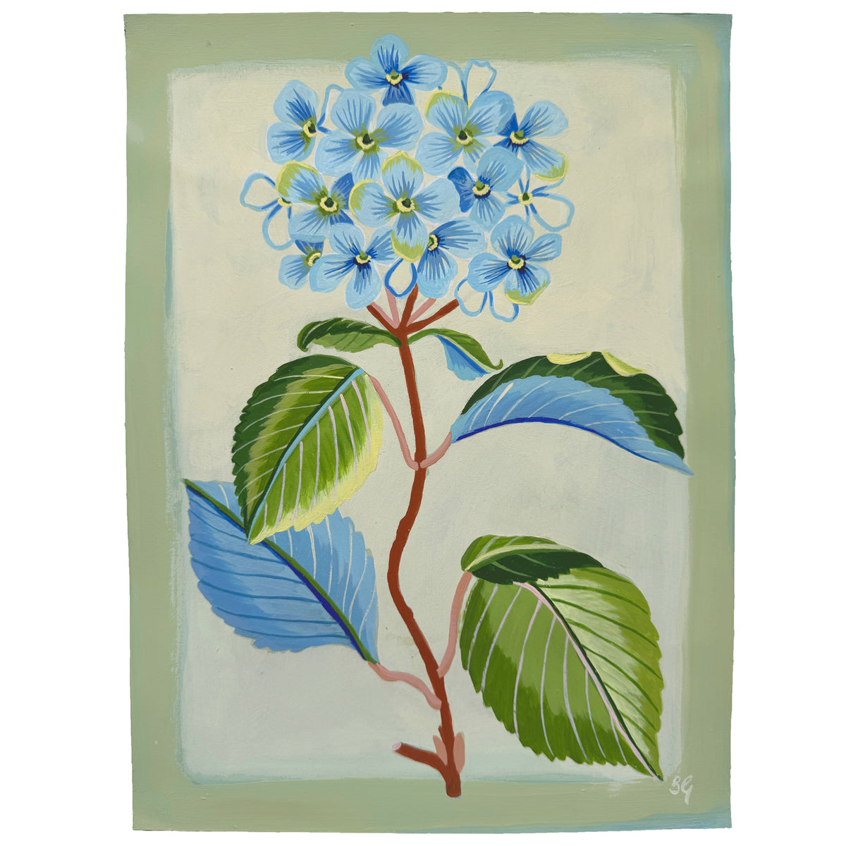 BLUE HYDRANGEA on warm cream 9"x12"