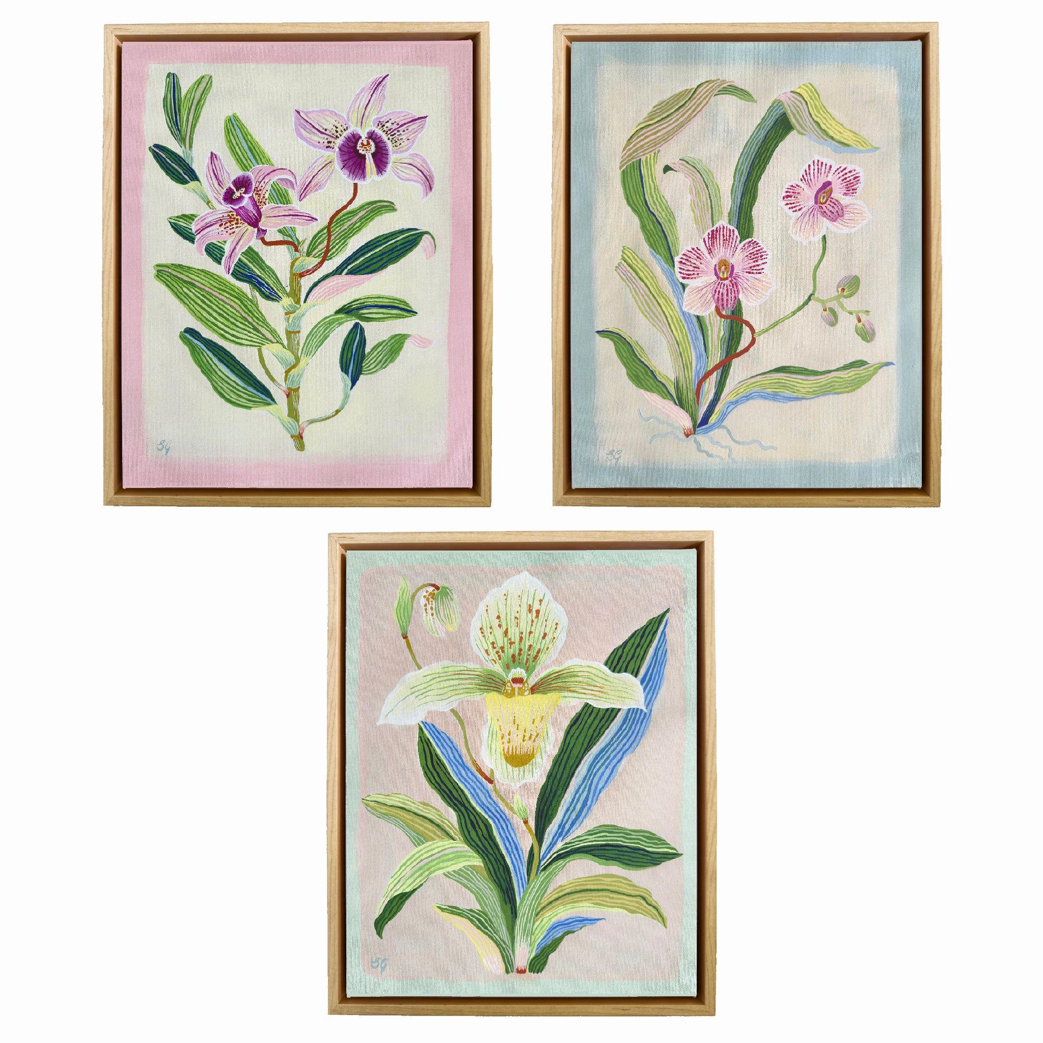 ORCHID BOTANICAL no.1. 11" x 14" on canvas