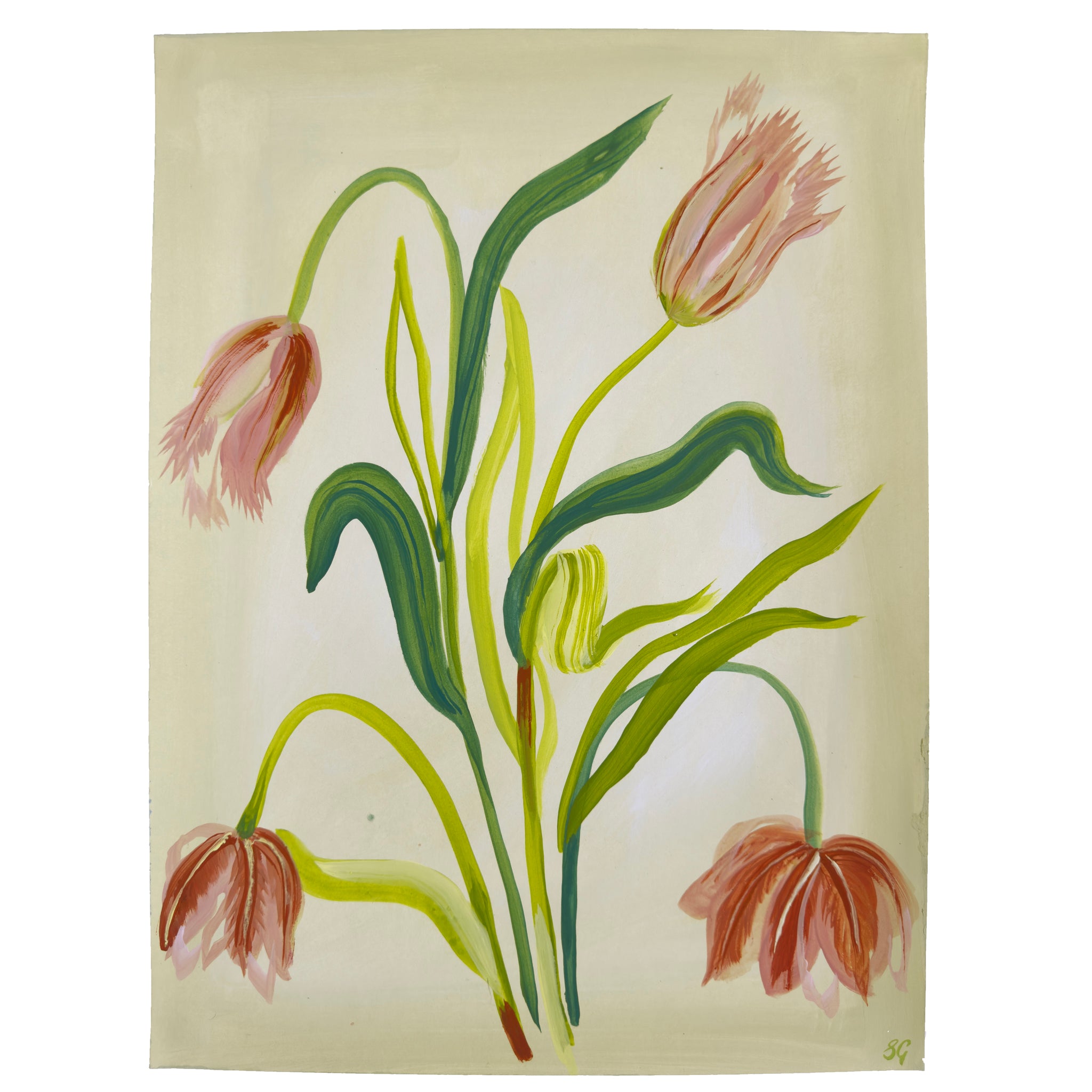 SPRING TULIPS STUDY on soft ecru 12"x16"