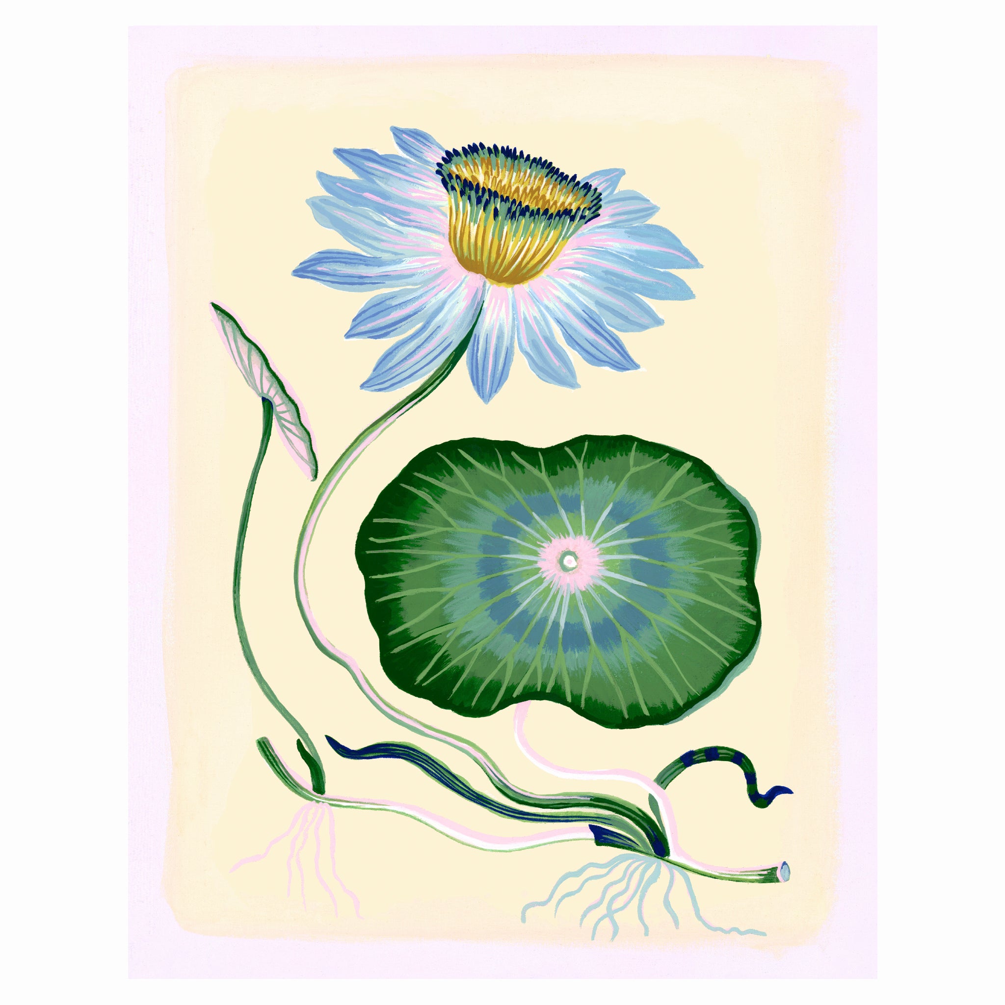 BLUE LOTUS 11" x 14" on canvas with natural wood float frame