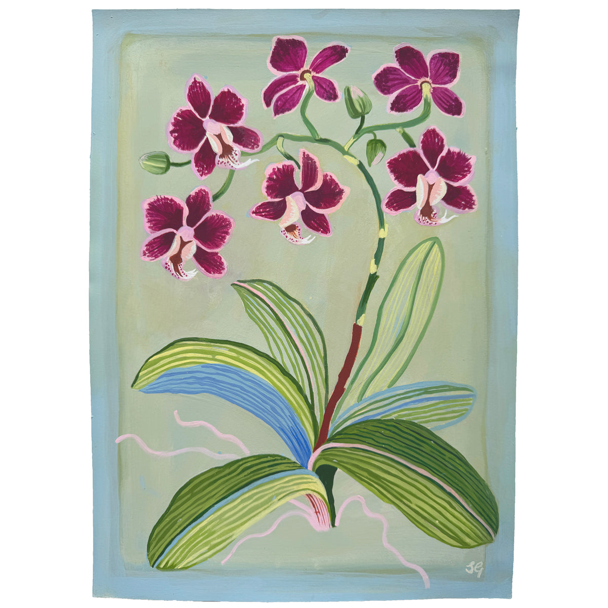 MAGENTA ORCHID on pale green 10"x14"