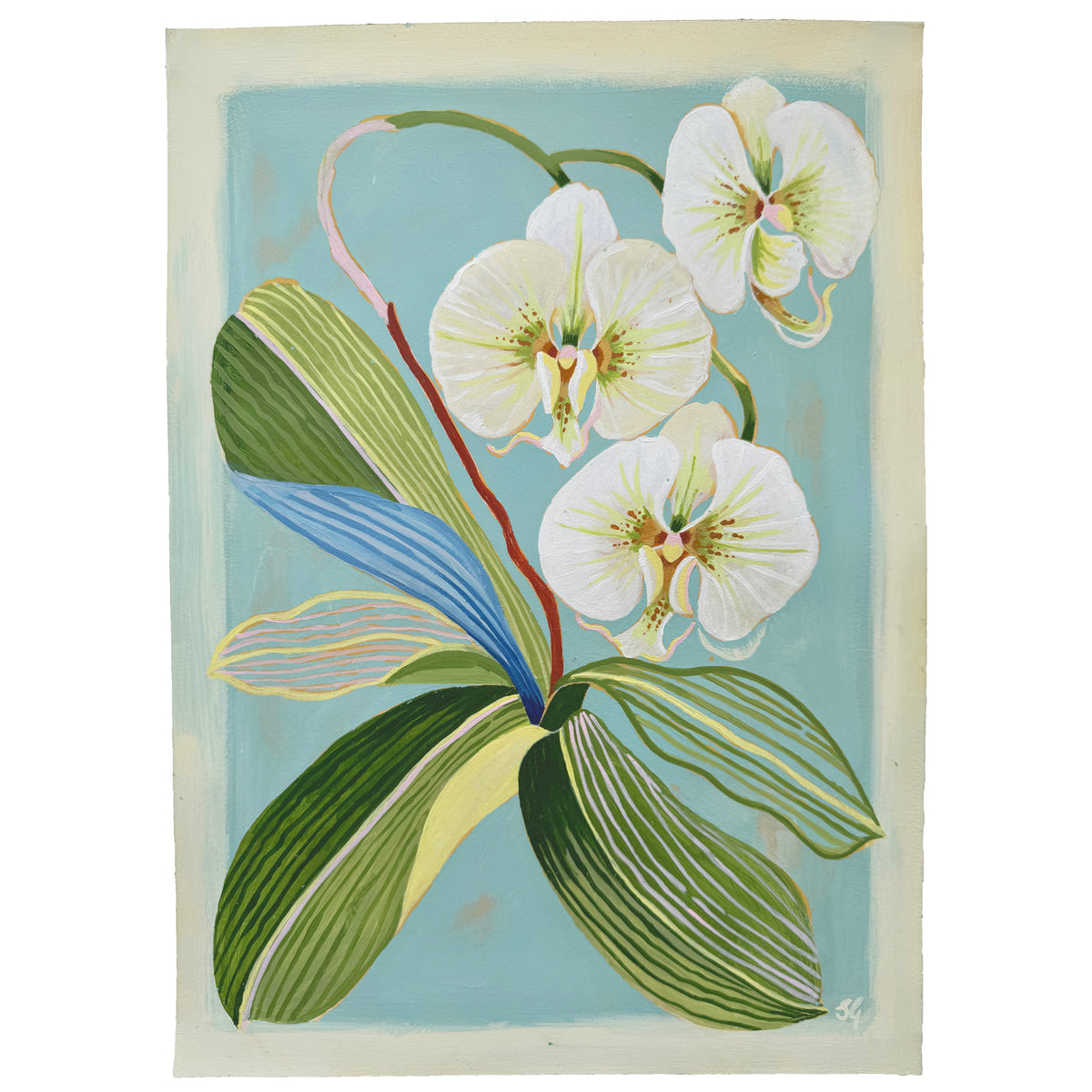 MOTH ORCHID on pale blue 10"x14"