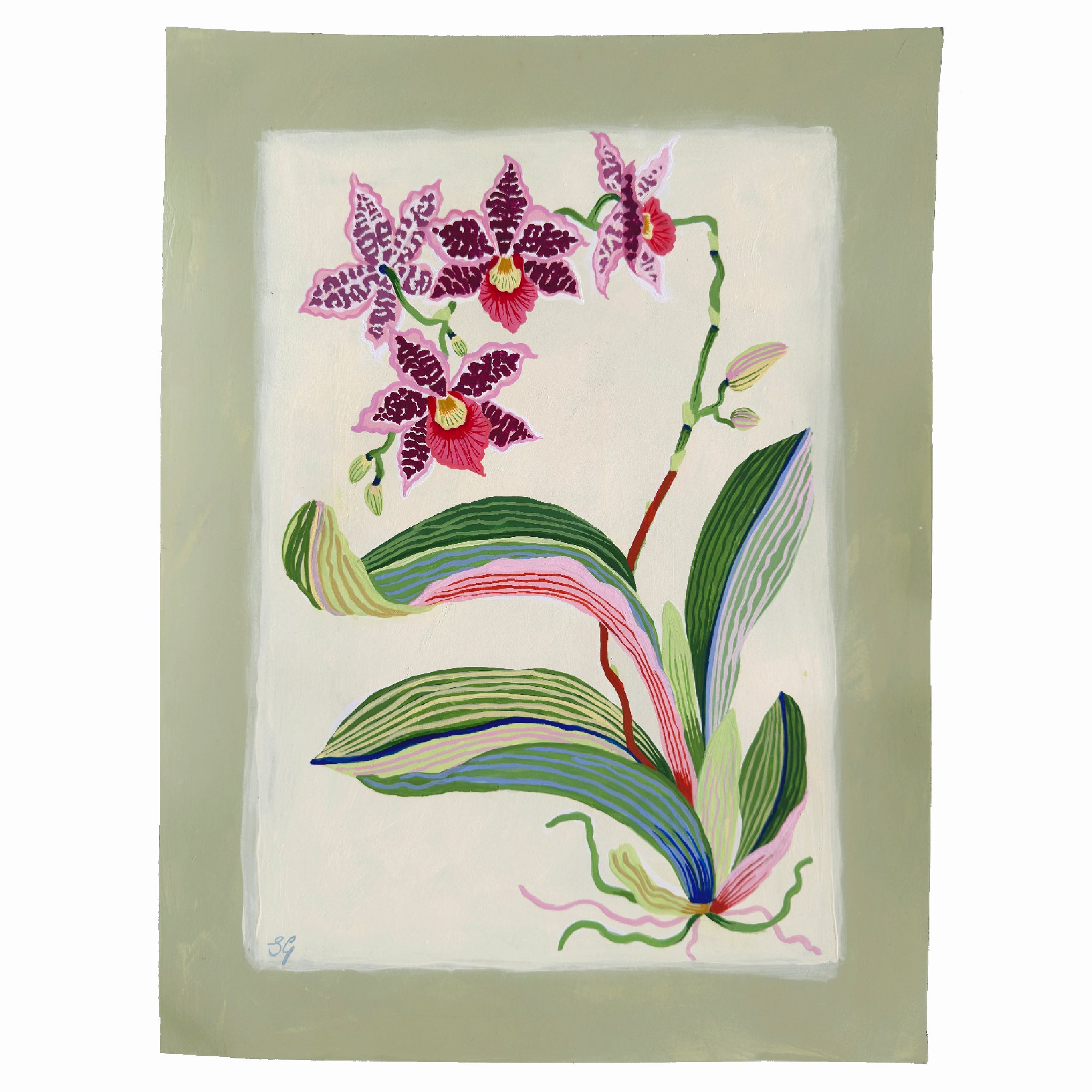 ORCHID BOTANICAL no.4. 12" x 16"