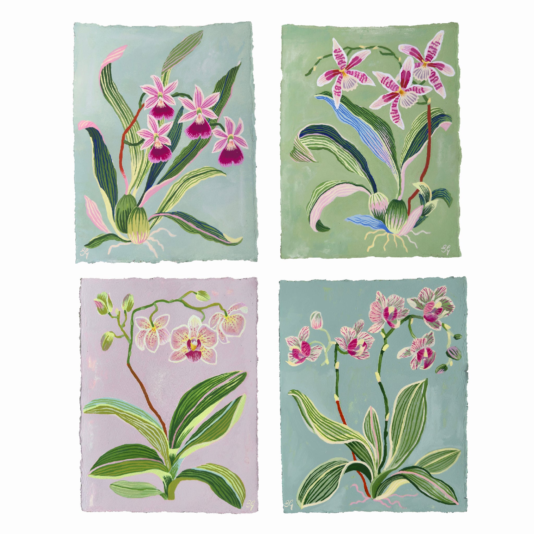 ORCHID STUDY on lilac 8.5" x 11.25"