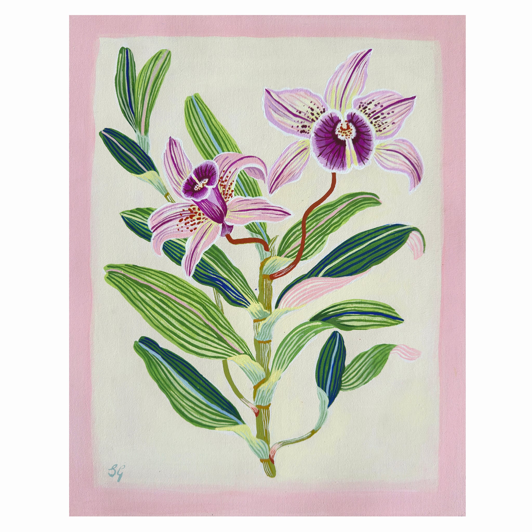 ORCHID BOTANICAL no.2. 11" x 14" on canvas