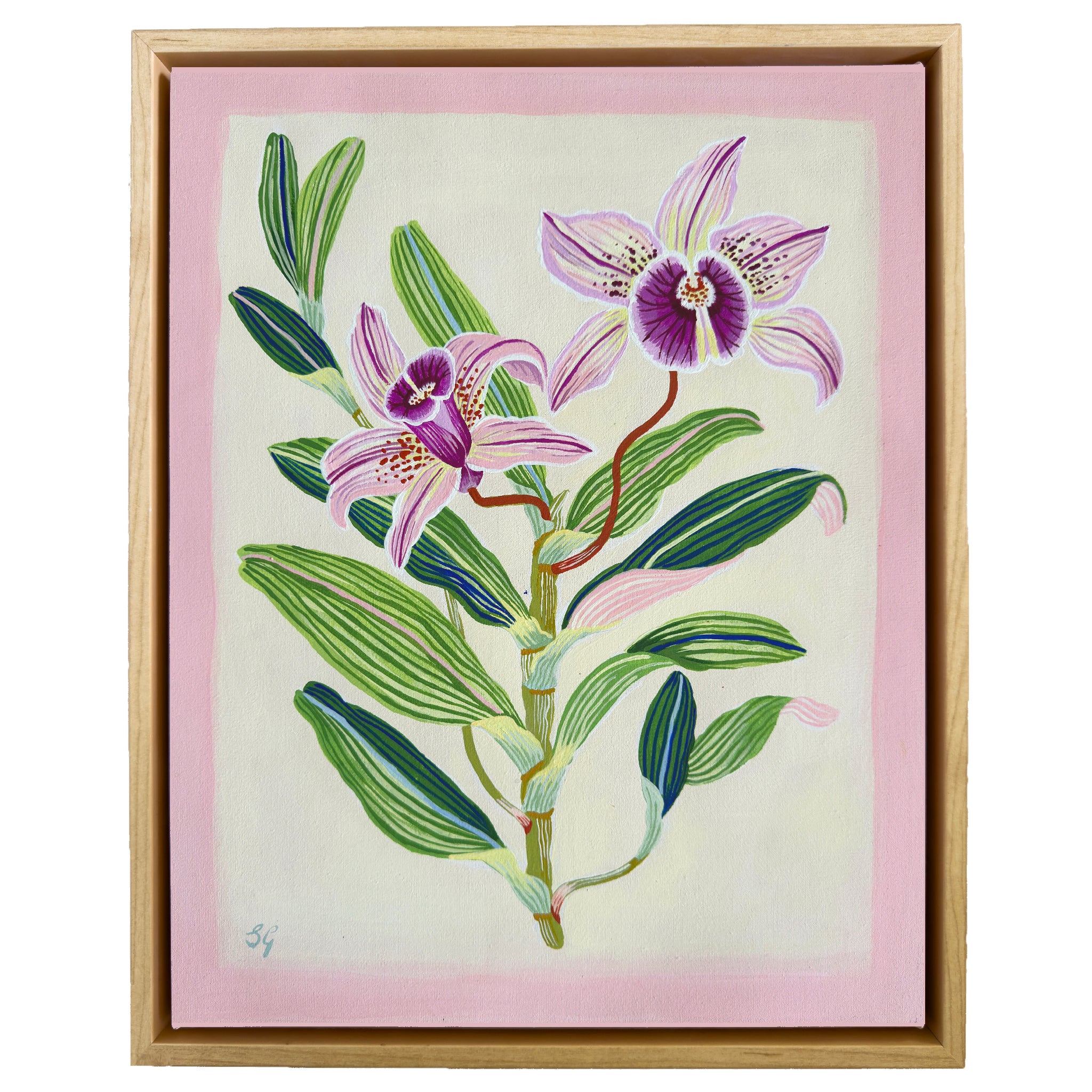 ORCHID BOTANICAL no.2. 11" x 14" on canvas