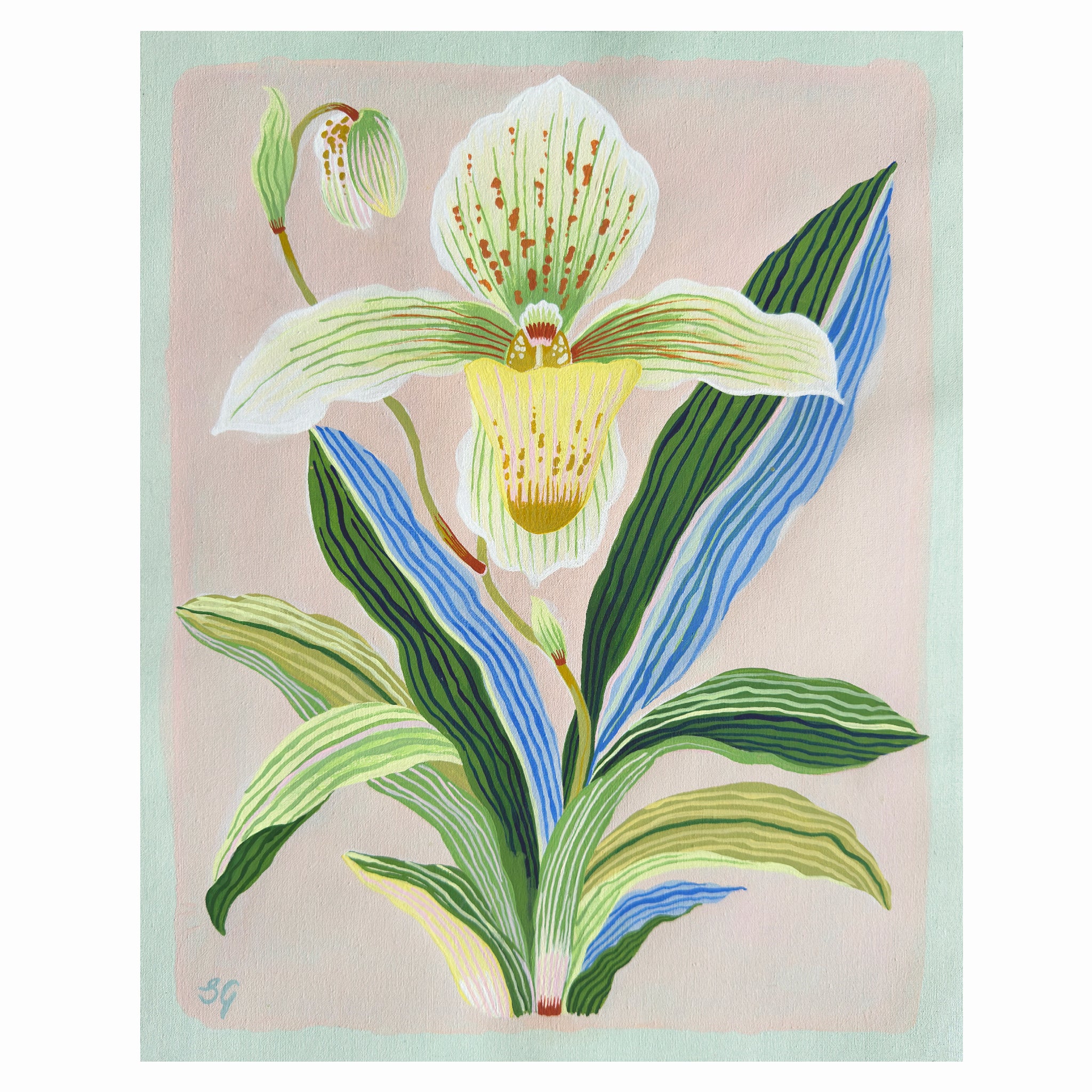 ORCHID BOTANICAL no.3. 11" x 14" on canvas