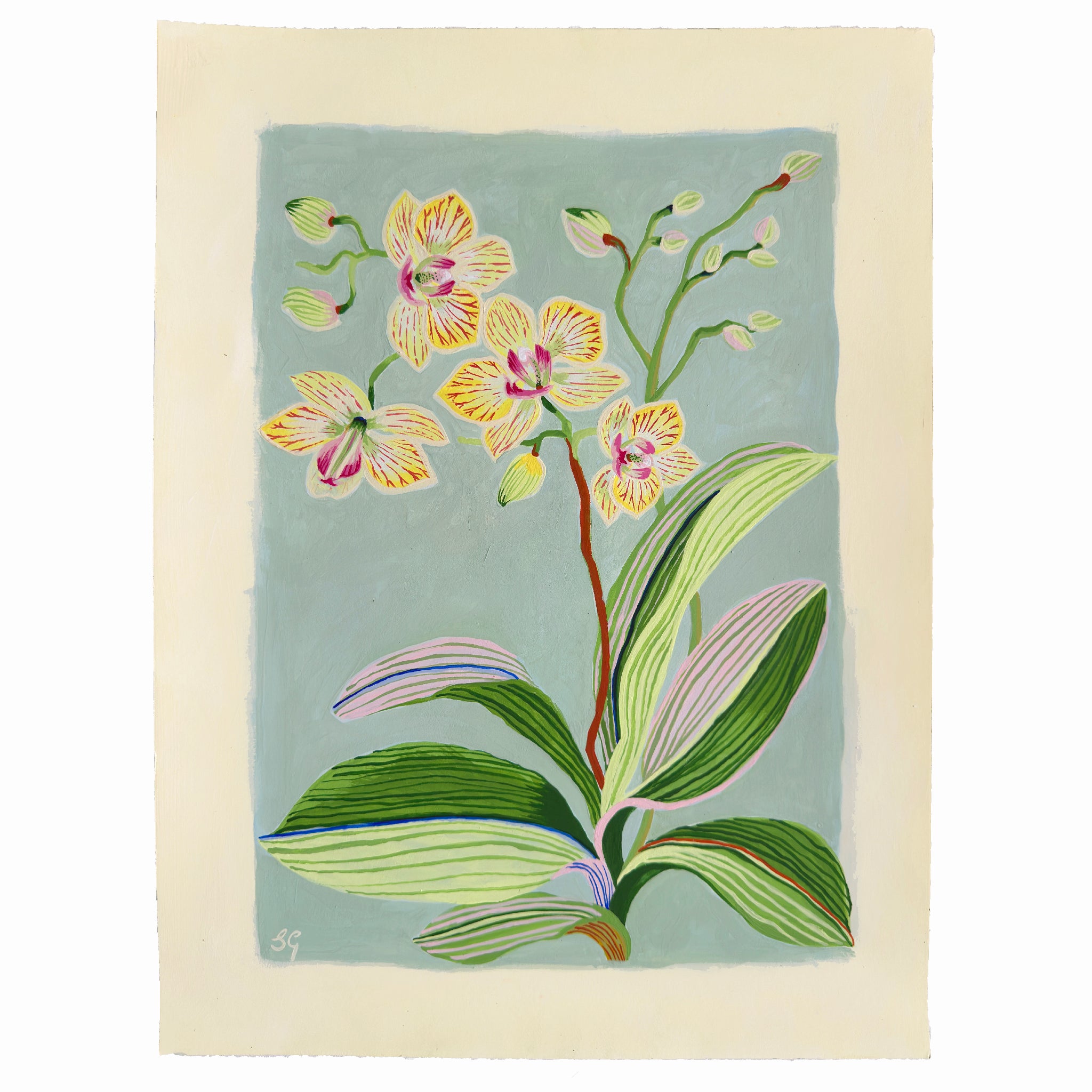 ORCHID BOTANICAL no.5. 12" x 16"