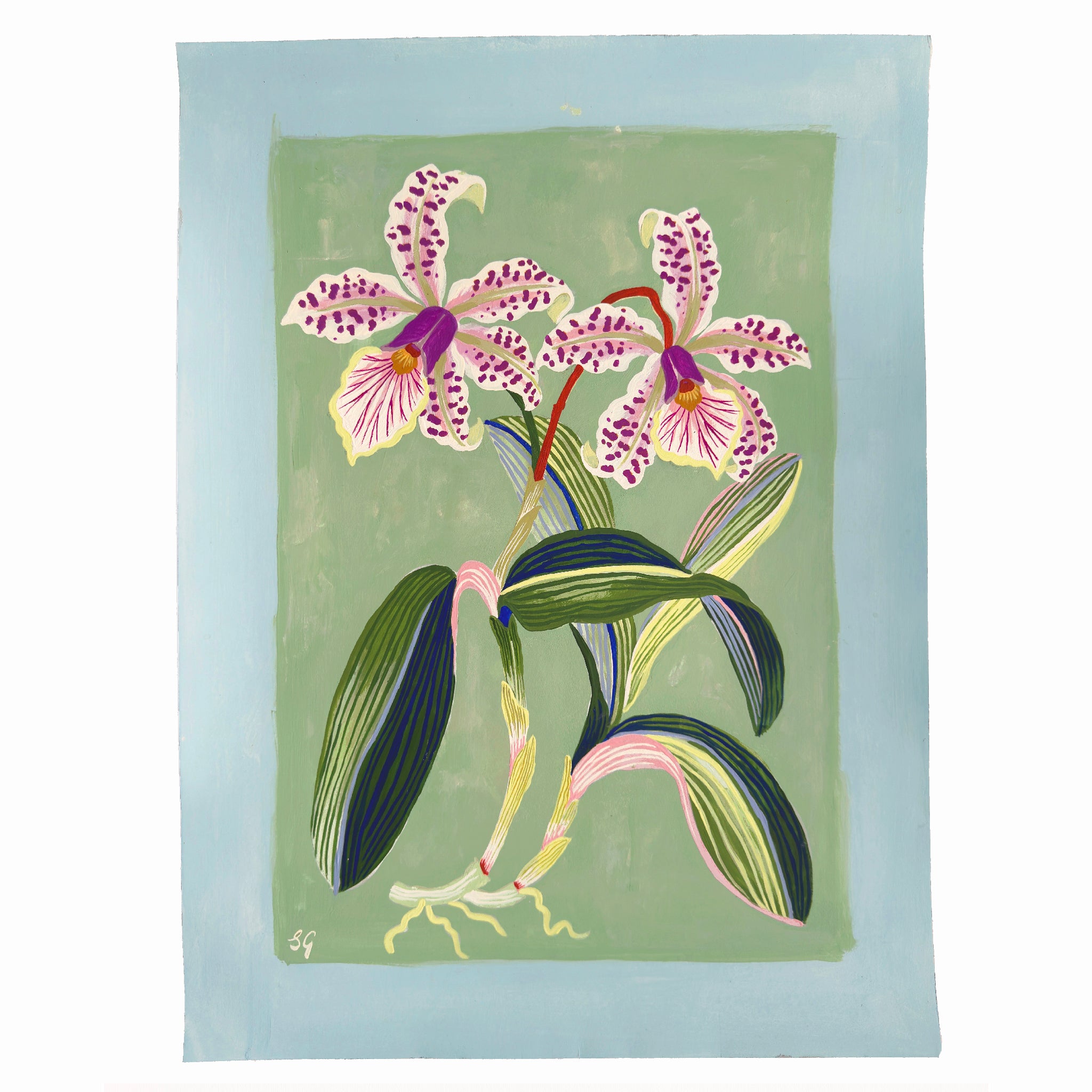 ORCHID BOTANICAL no.6. 12" x 16"