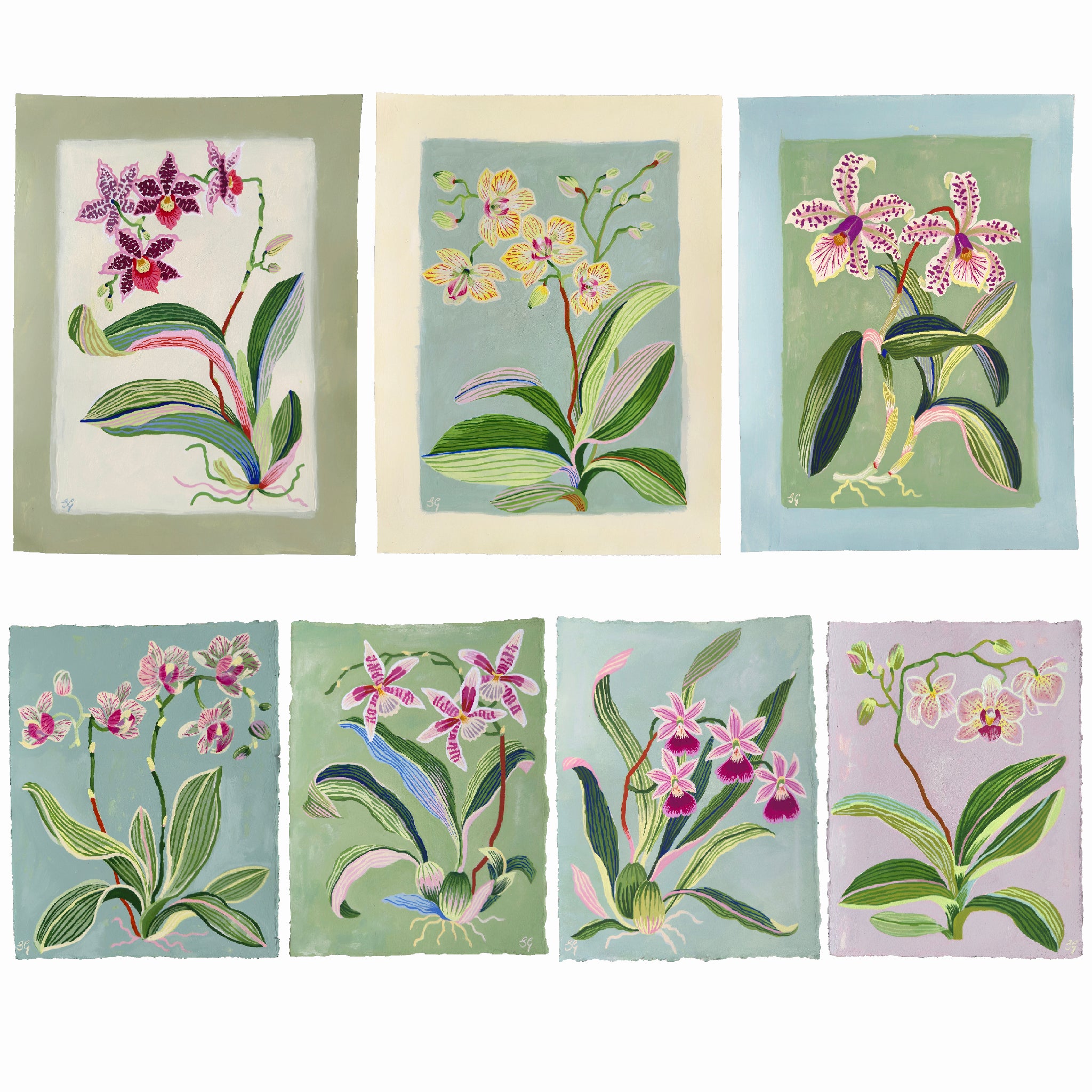 ORCHID STUDY on lilac 8.5" x 11.25"