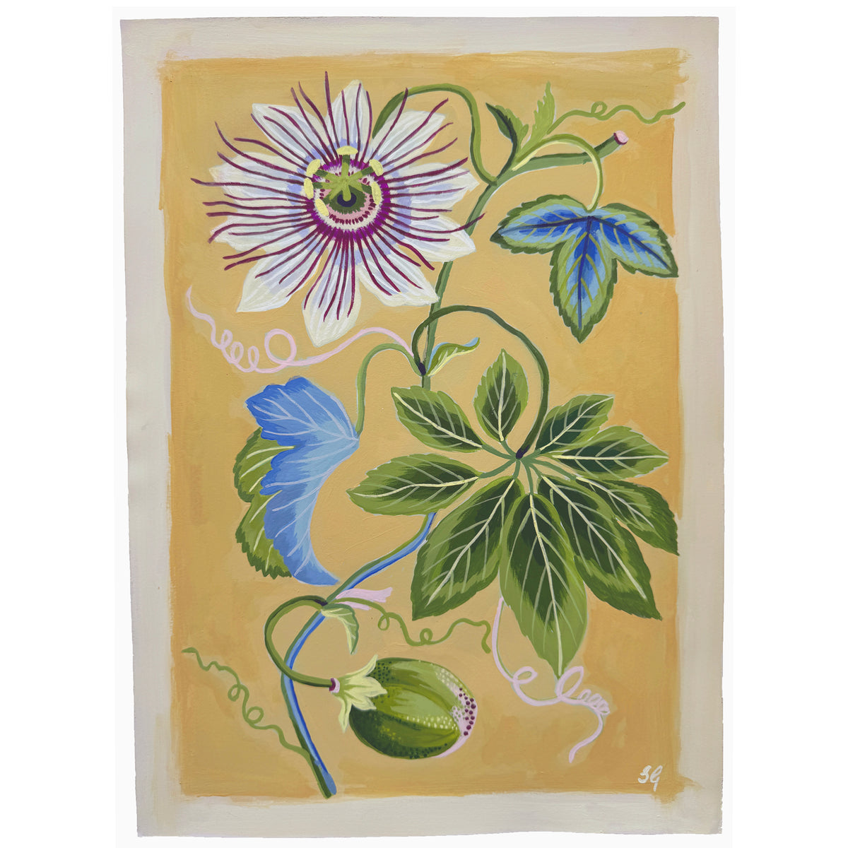 PASSIFLORA on Naples yellow 10"x14"
