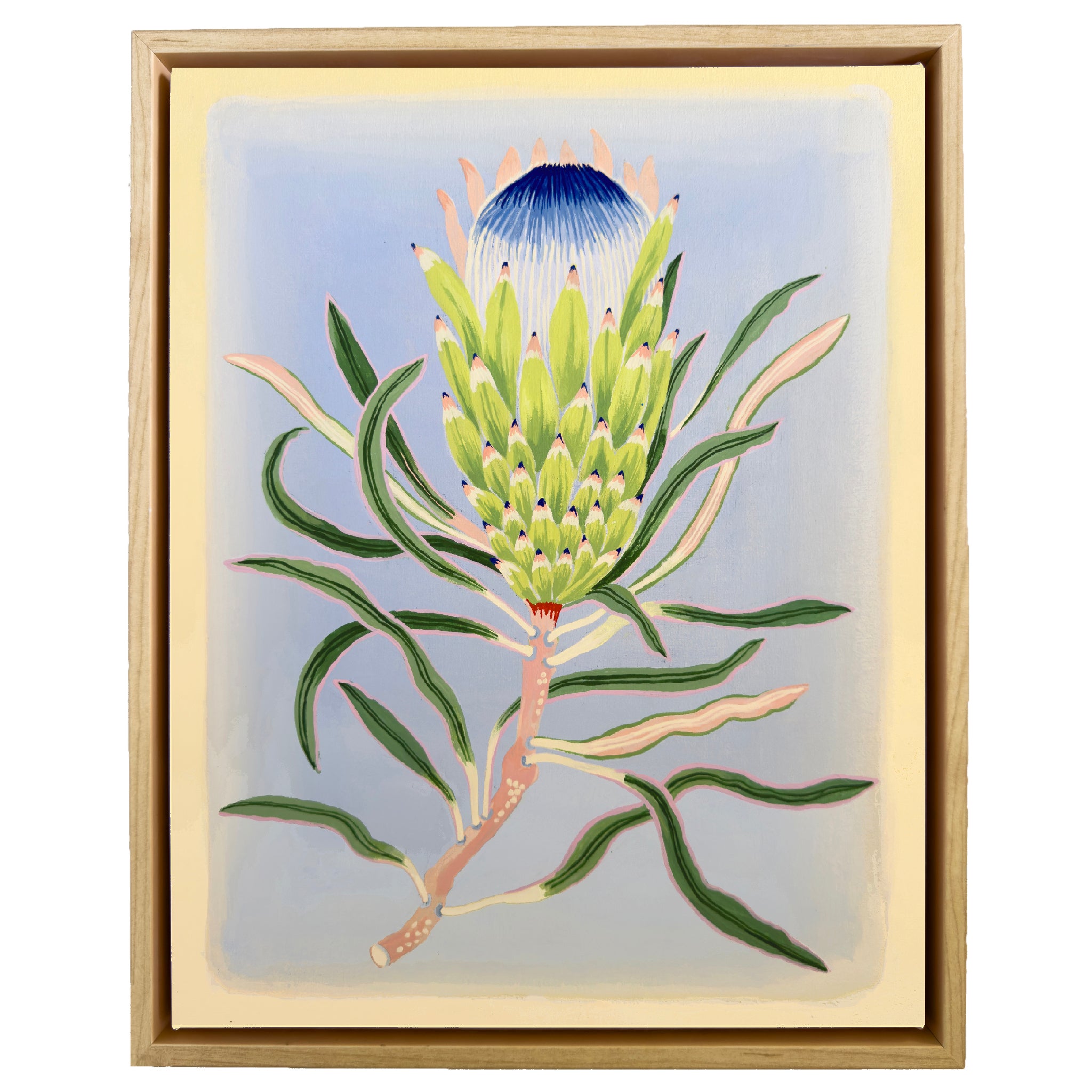 PROTEA 11" x 14" on canvas