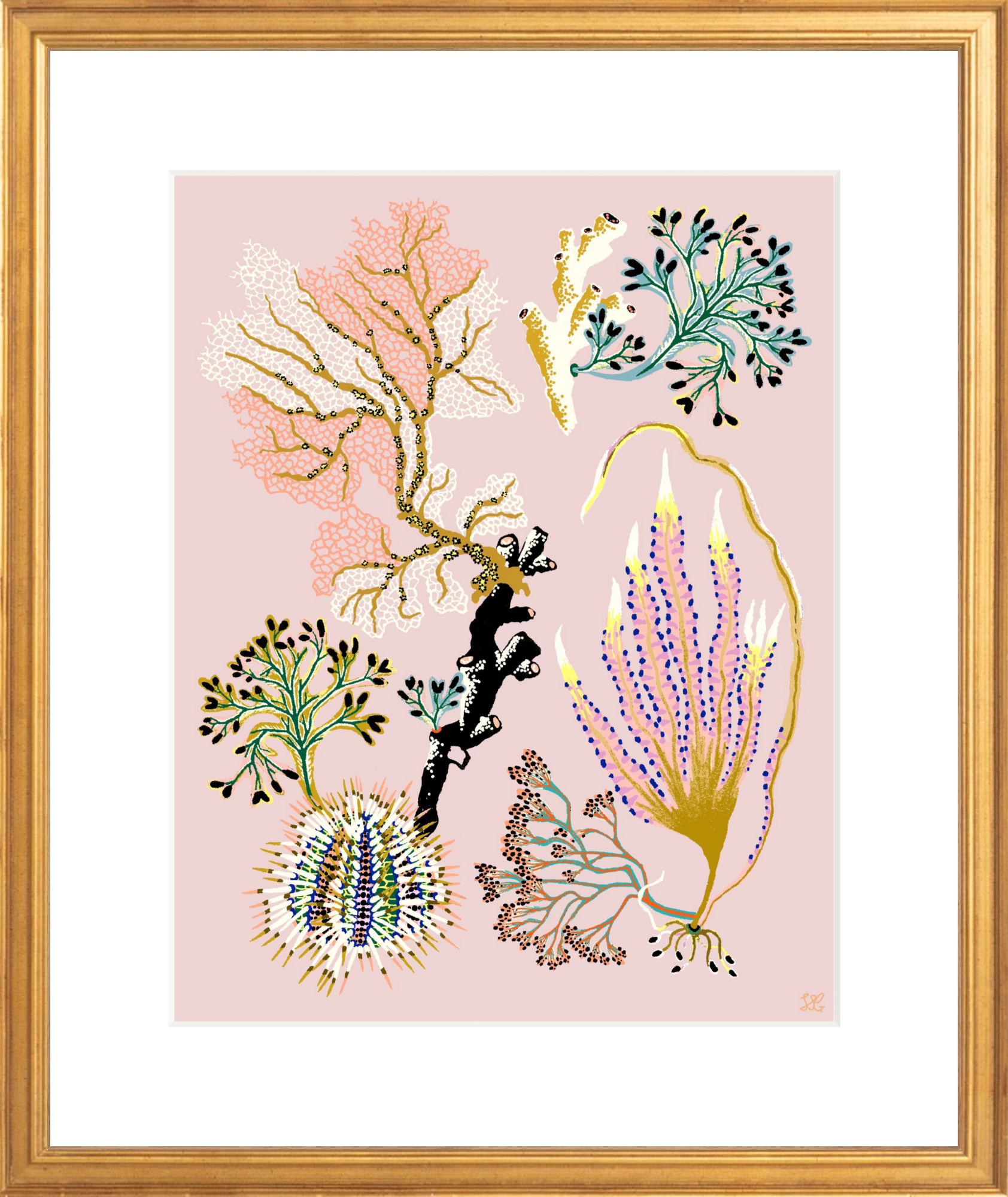 SEA GARDEN URCHIN 11" x 14"