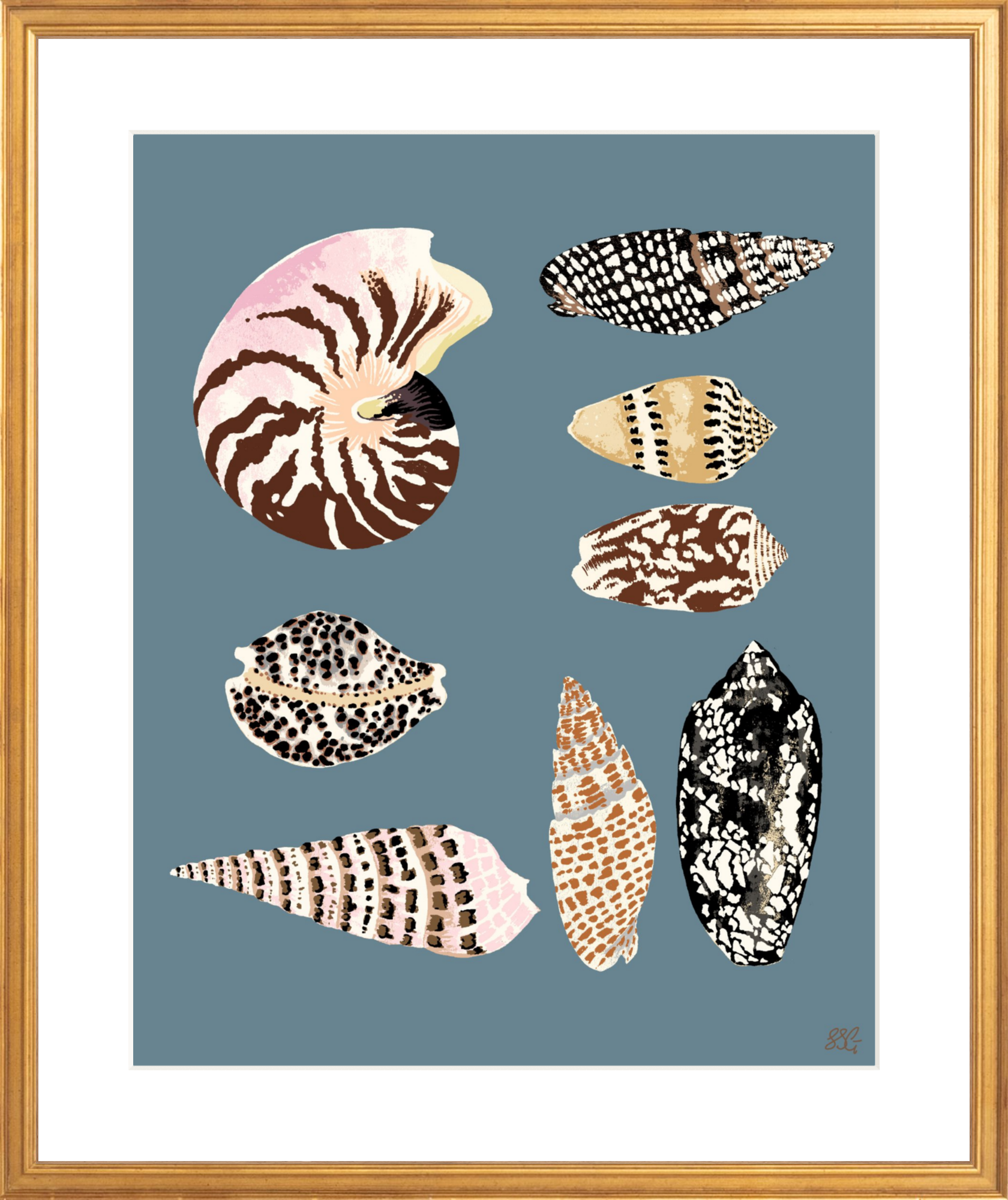 FIJI SHELLS 16" x 20" in 2 color options