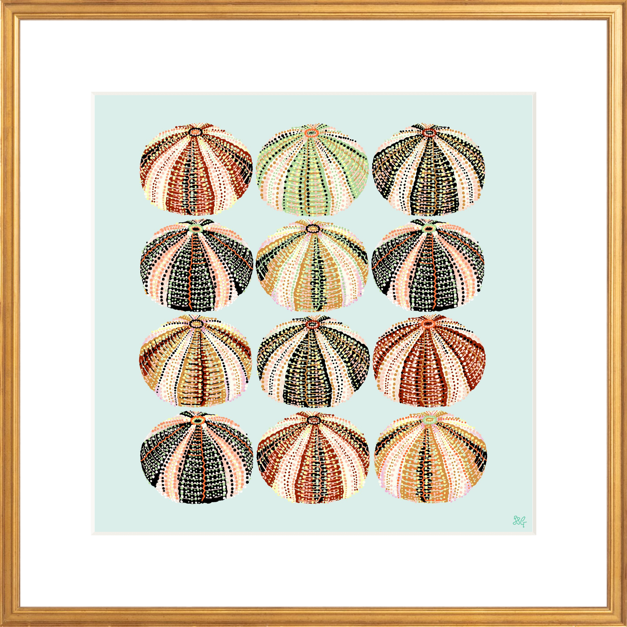 URCHIN 12 WAYS 18" X 18" in 2 color options