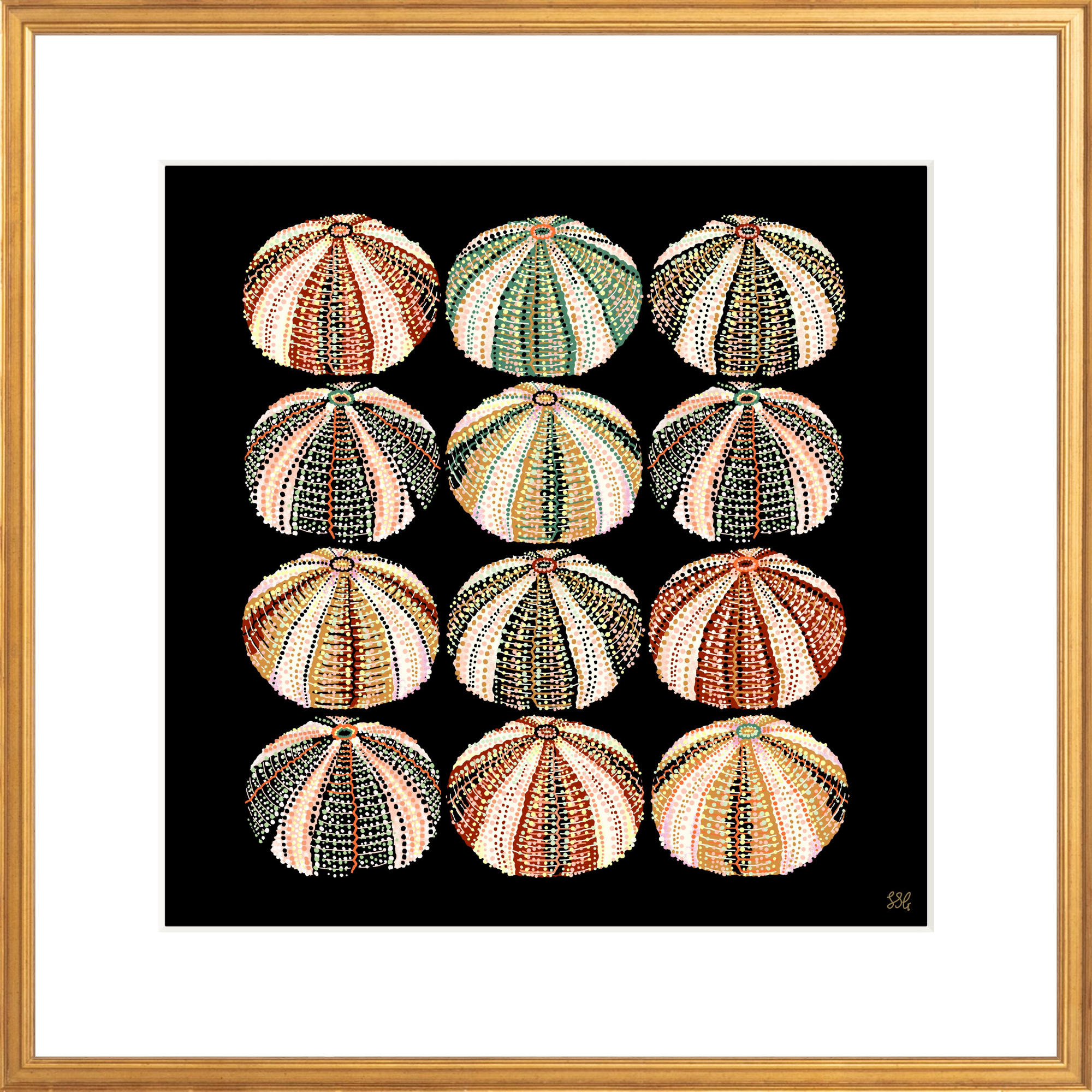 URCHIN 12 WAYS 18" X 18" in 2 color options
