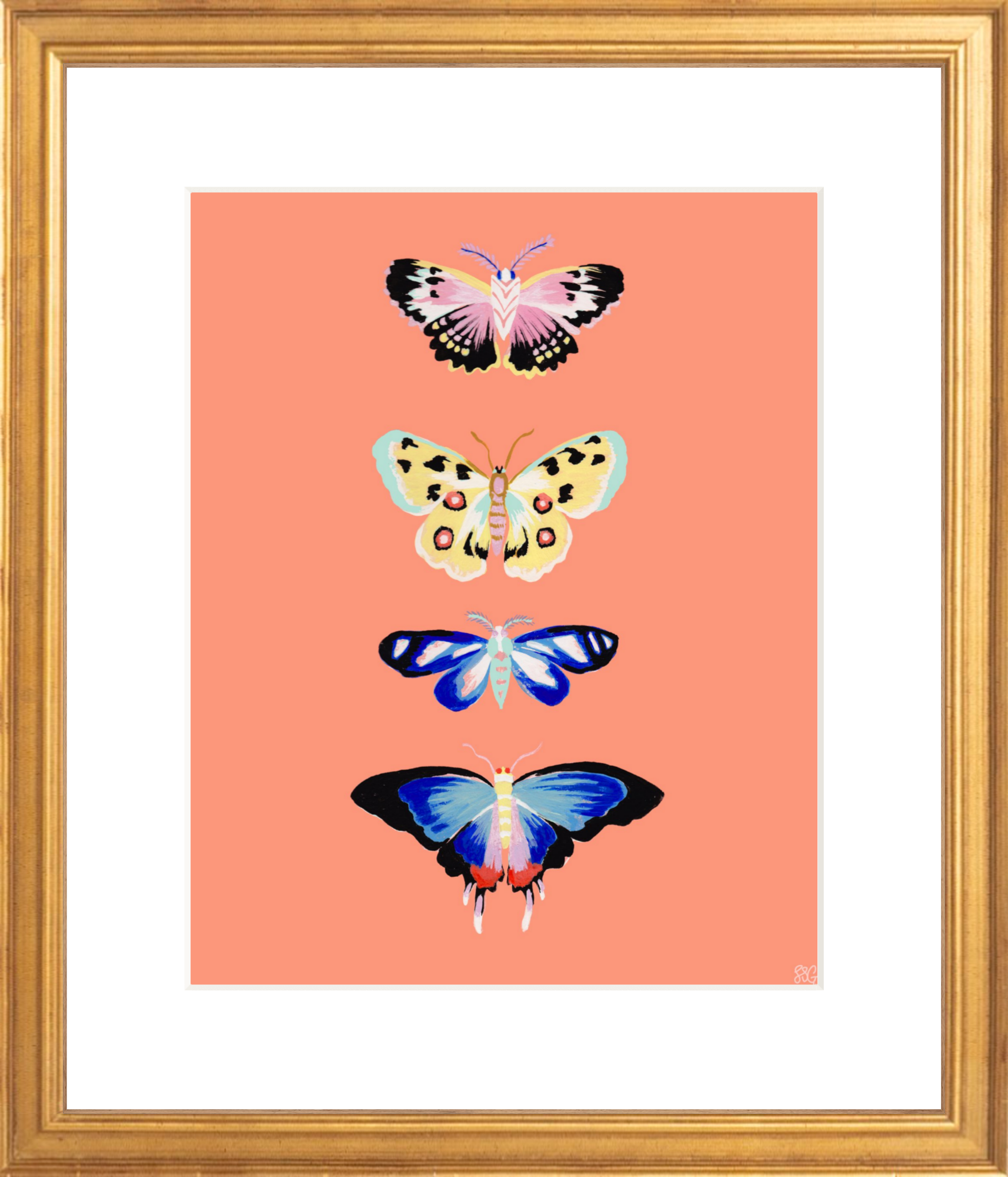 CORAL BUTTERFLY 8" x 10"