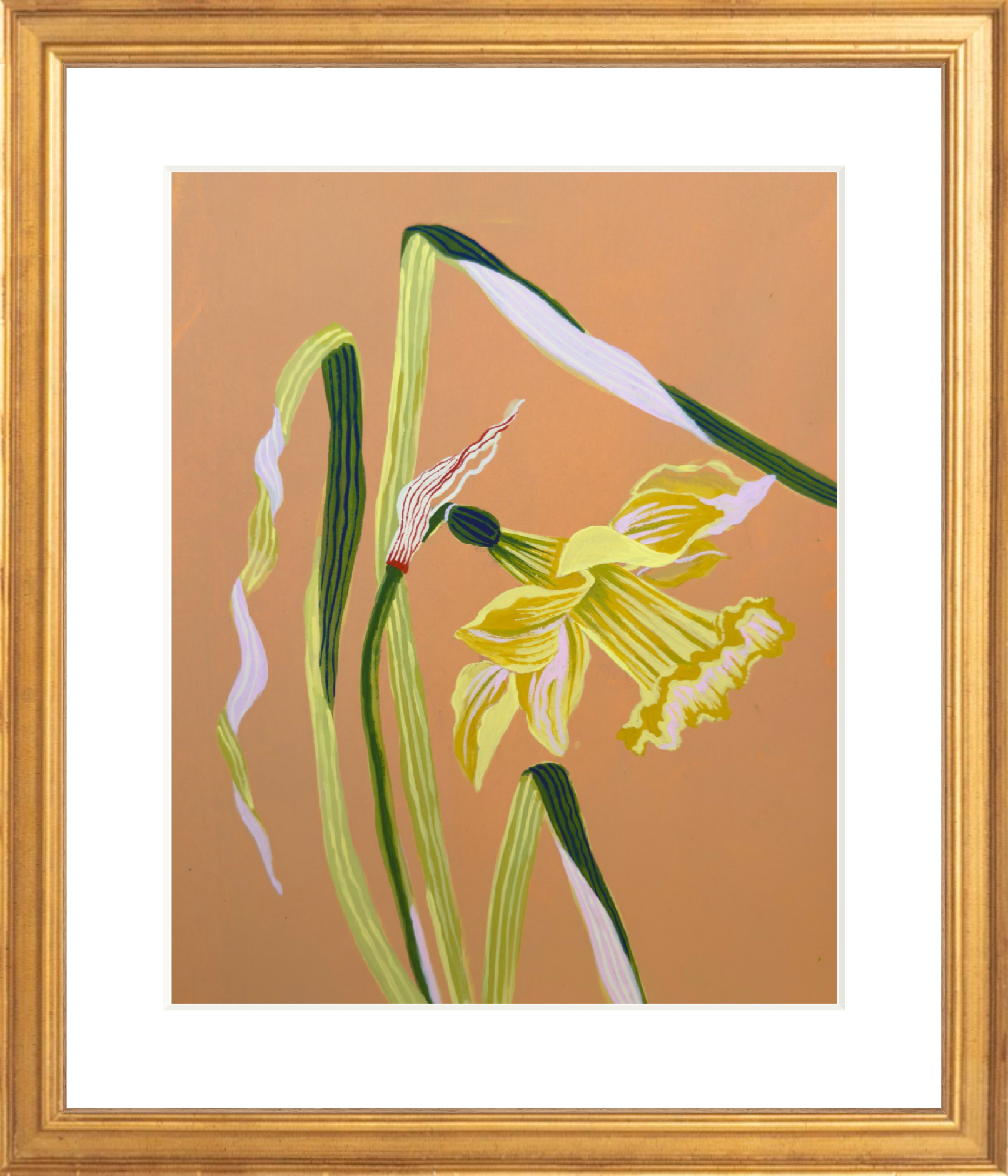 DAFFODIL STUDY 7.75" x 11"