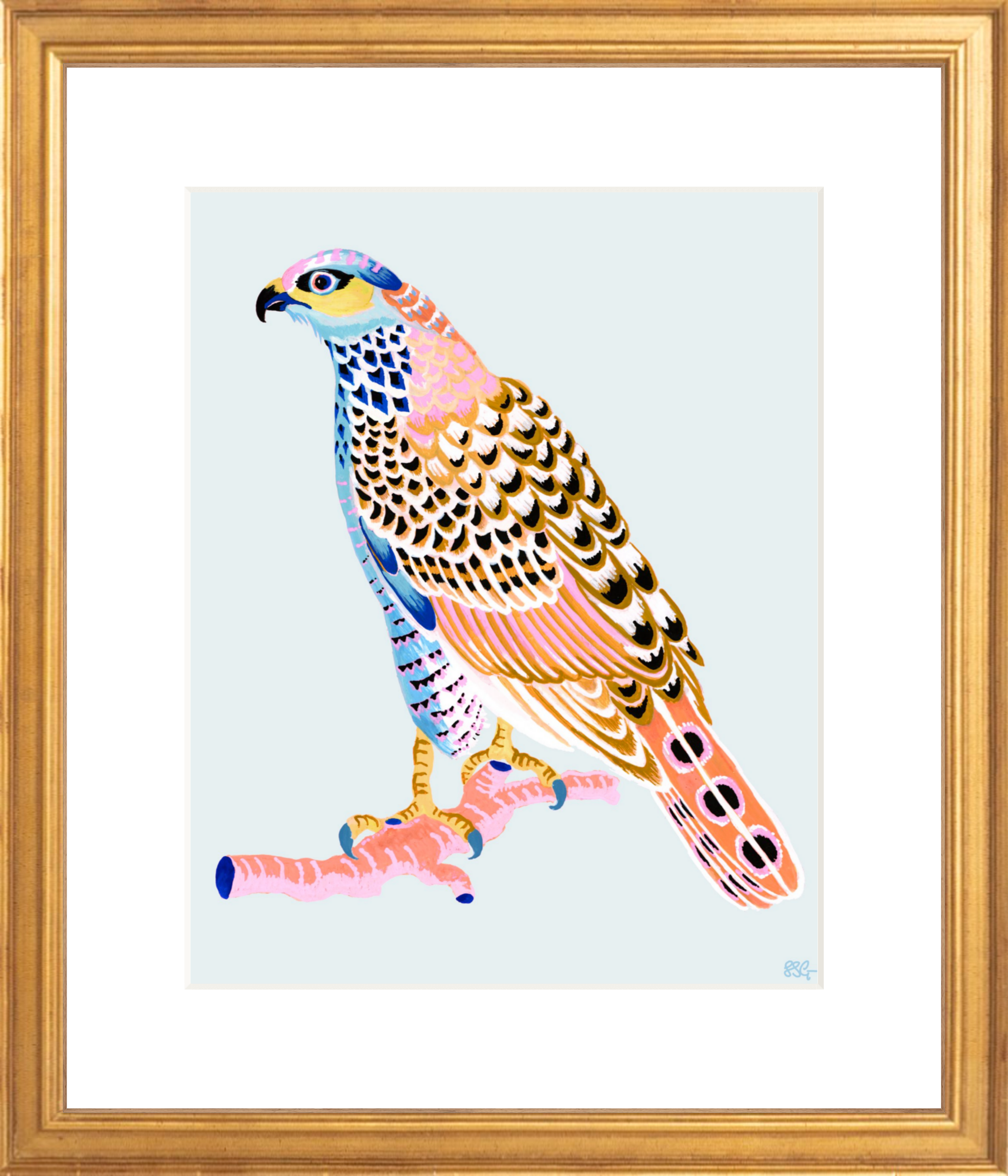 FANCY HAWK 8" x 10" in 2 color options