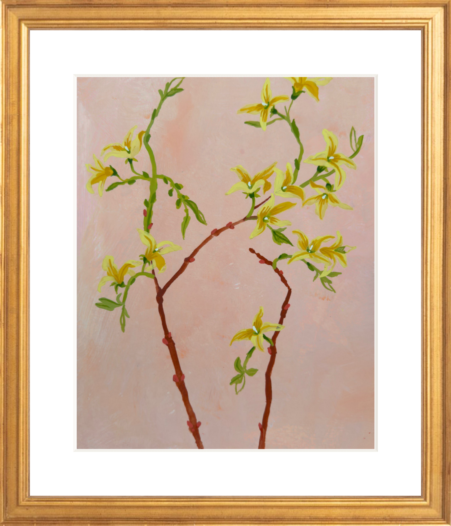 FORSYTHIA STUDY 8" x 11"