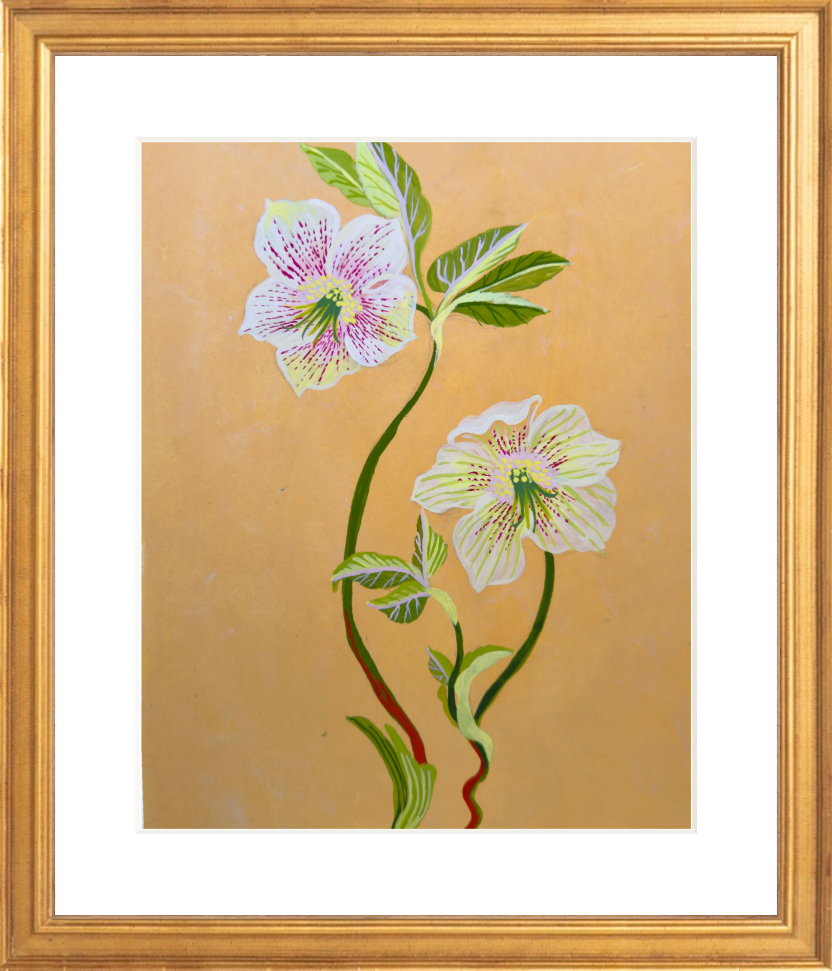 HELLEBORE STUDY on yellow 8" x 11"