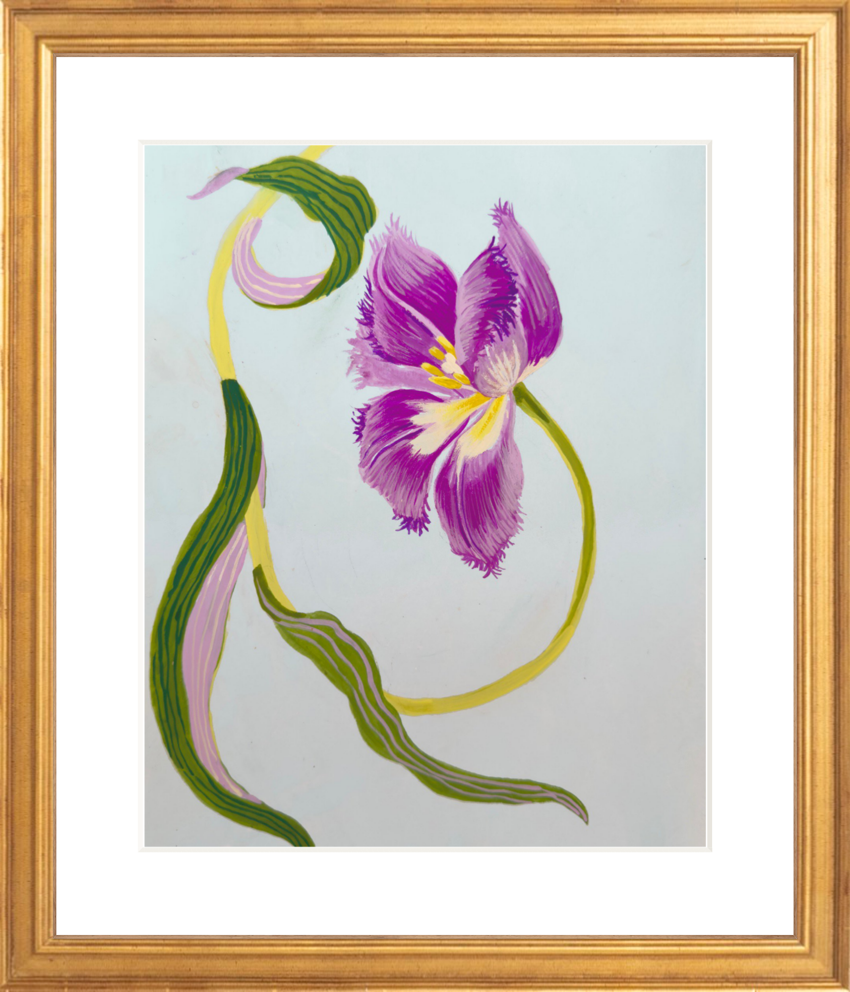 FRILLY TULIP STUDY on pale blue 8" x 11"