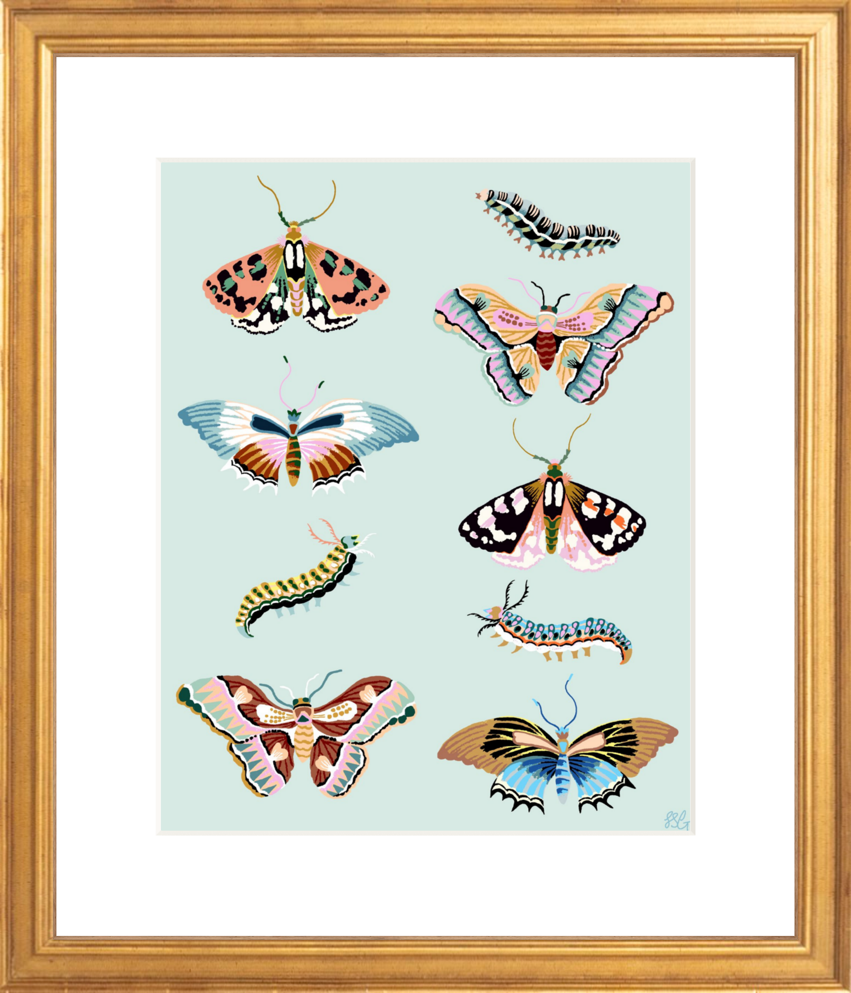 WONDERGARDEN BUTTERFLY 8" x 10"