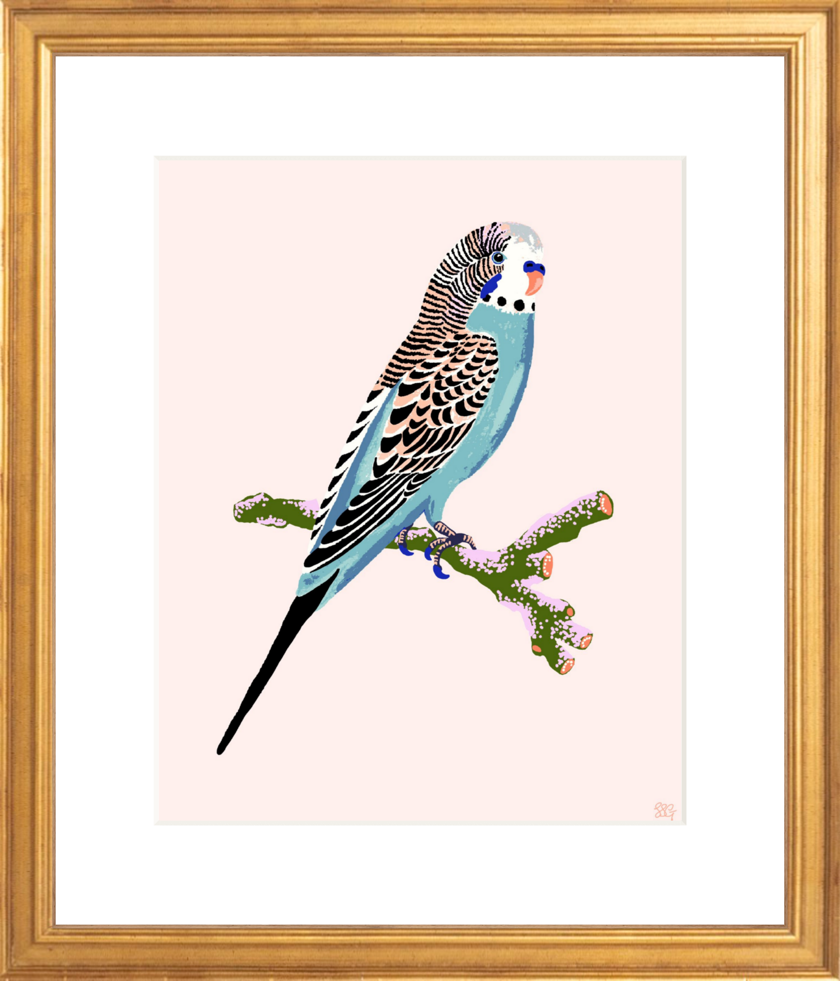 BUDGERIGAR 8" x 10" in 2 color options