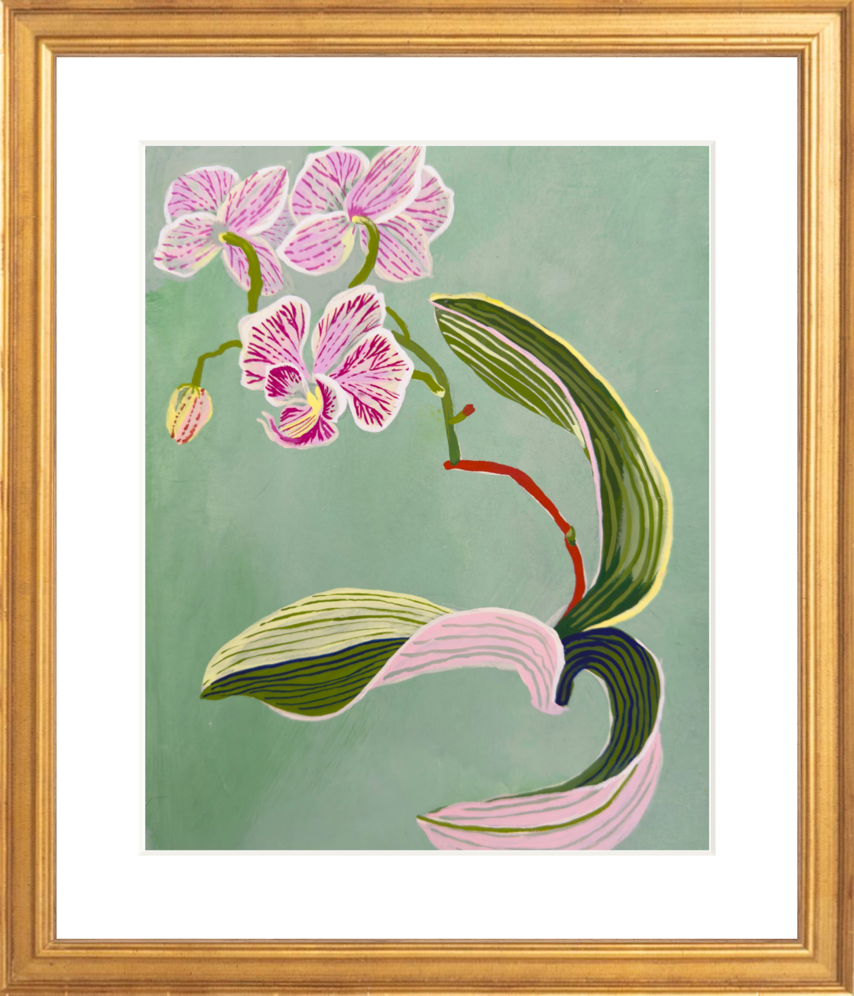 ORCHID STUDY on green 8" x 11"