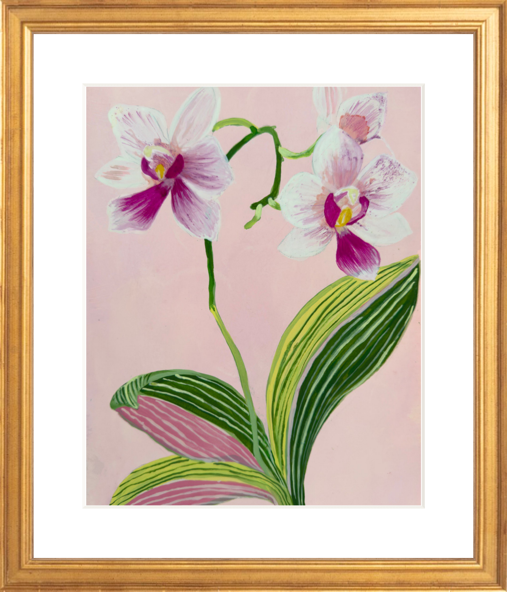 ORCHID STUDY on pale pink 8" x 11"