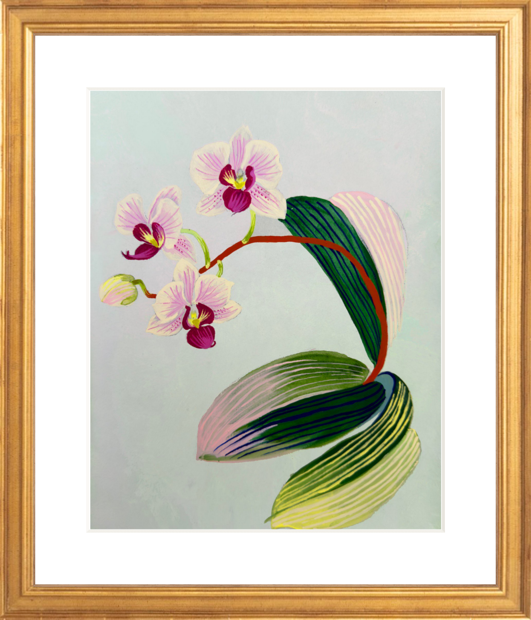ORCHID STUDY on pale blue 8" x 11"