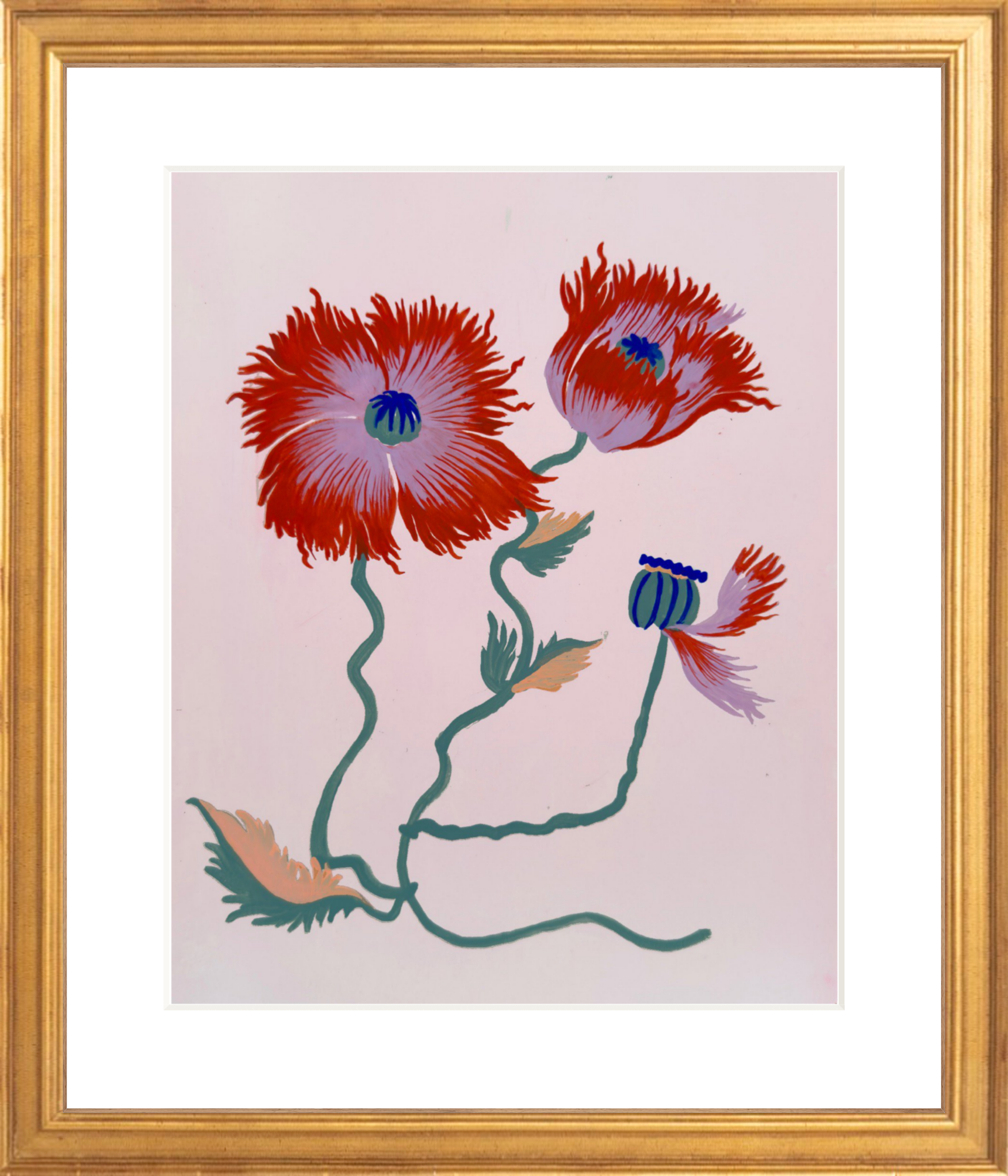 FRILLY POPPY STUDY 8" x 11"