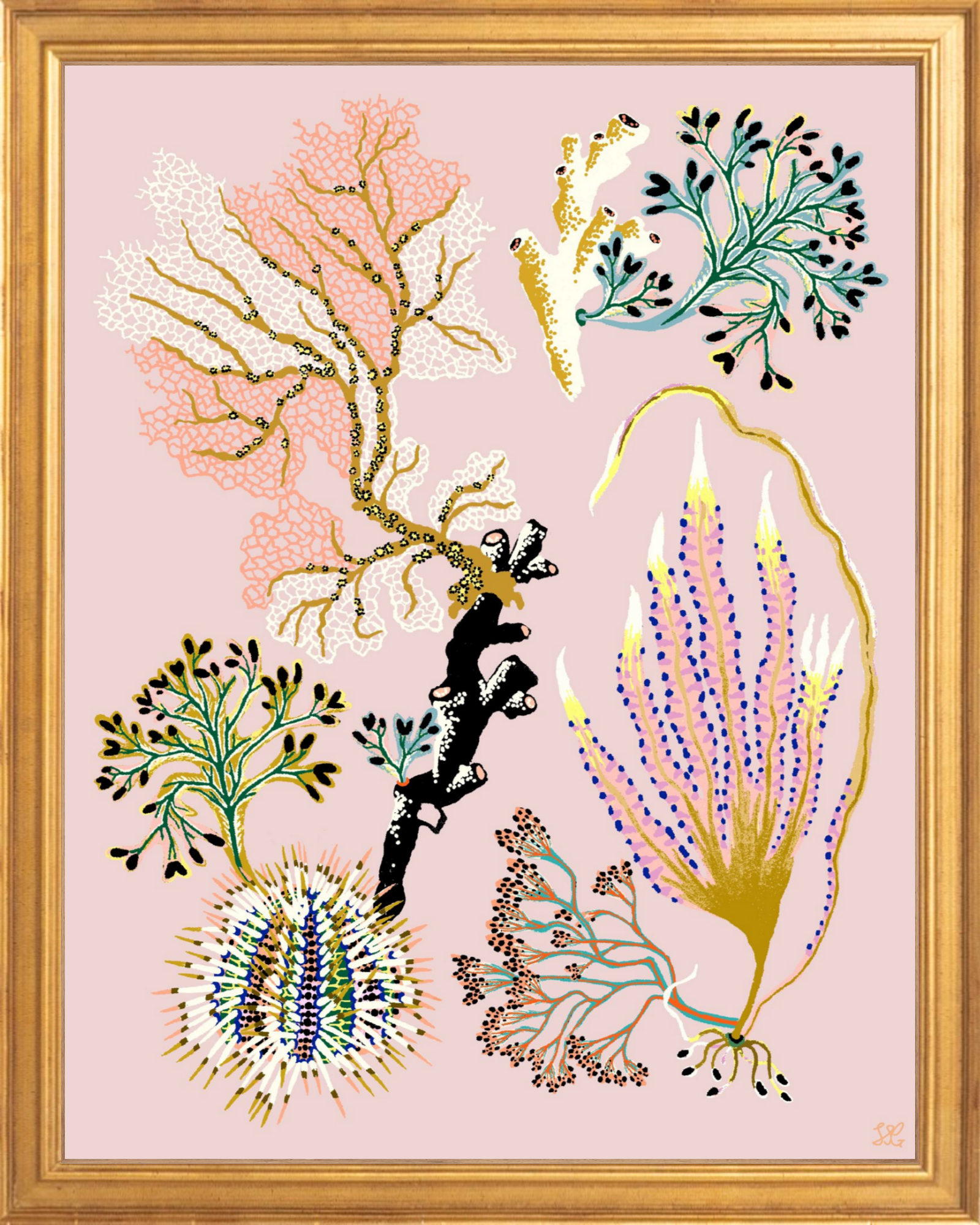 SEA GARDEN URCHIN 11" x 14"