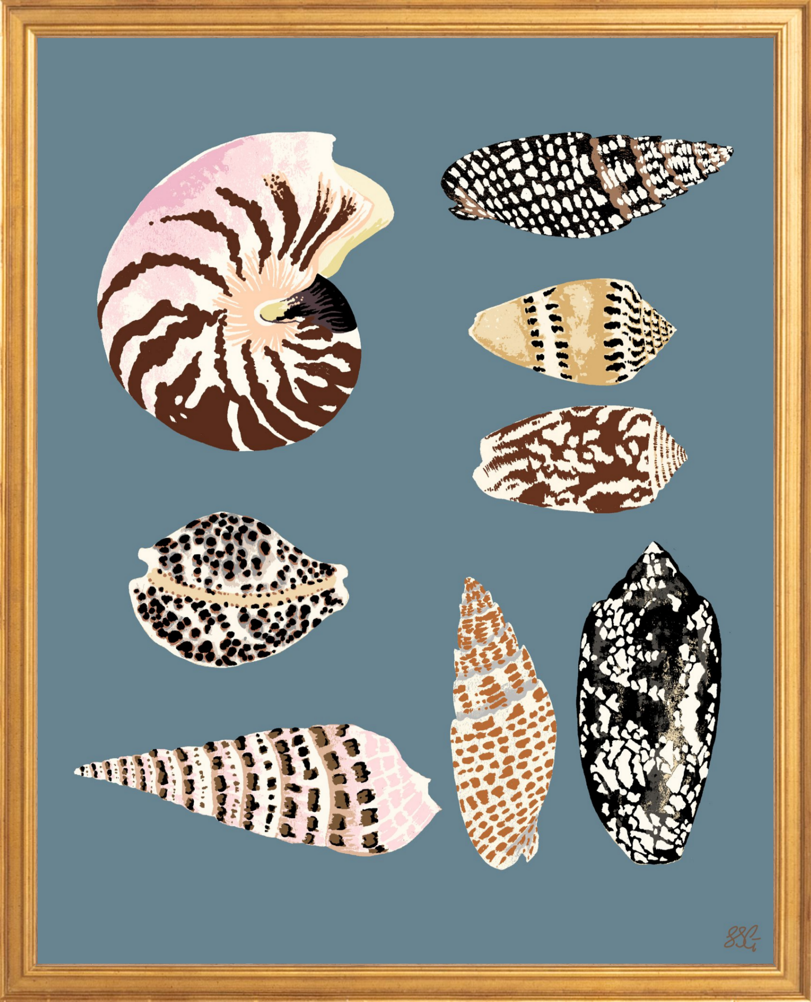 FIJI SHELLS 16" x 20" in 2 color options