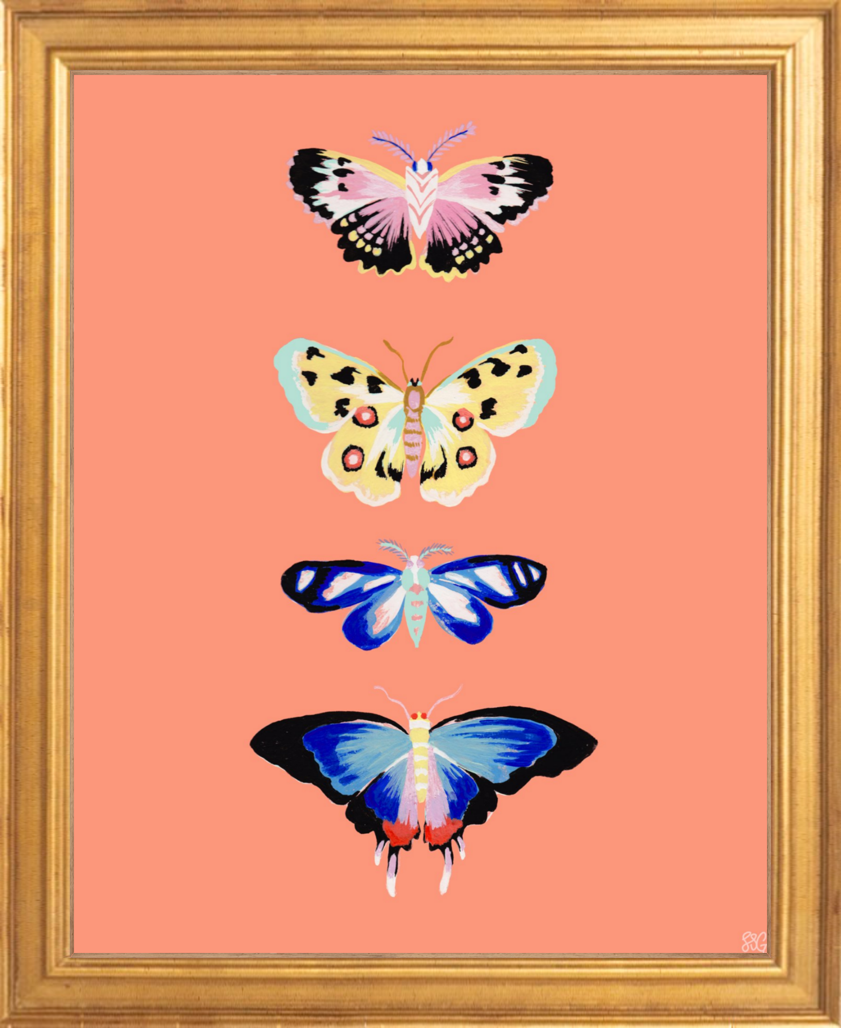 CORAL BUTTERFLY 8" x 10"