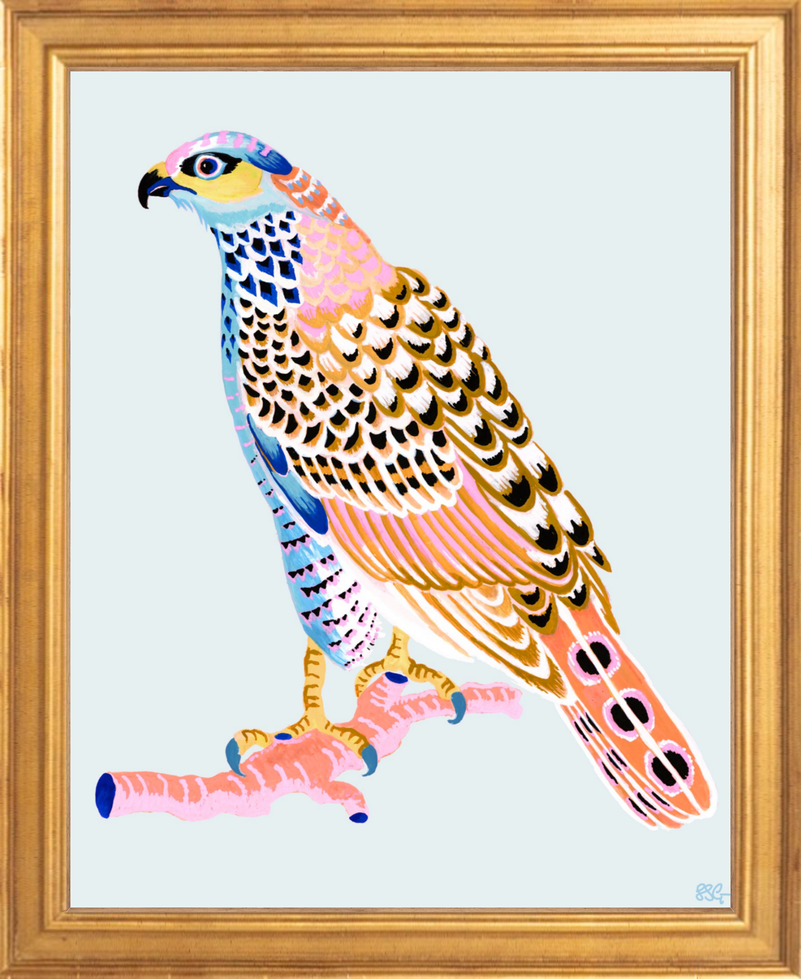 FANCY HAWK 8" x 10" in 2 color options