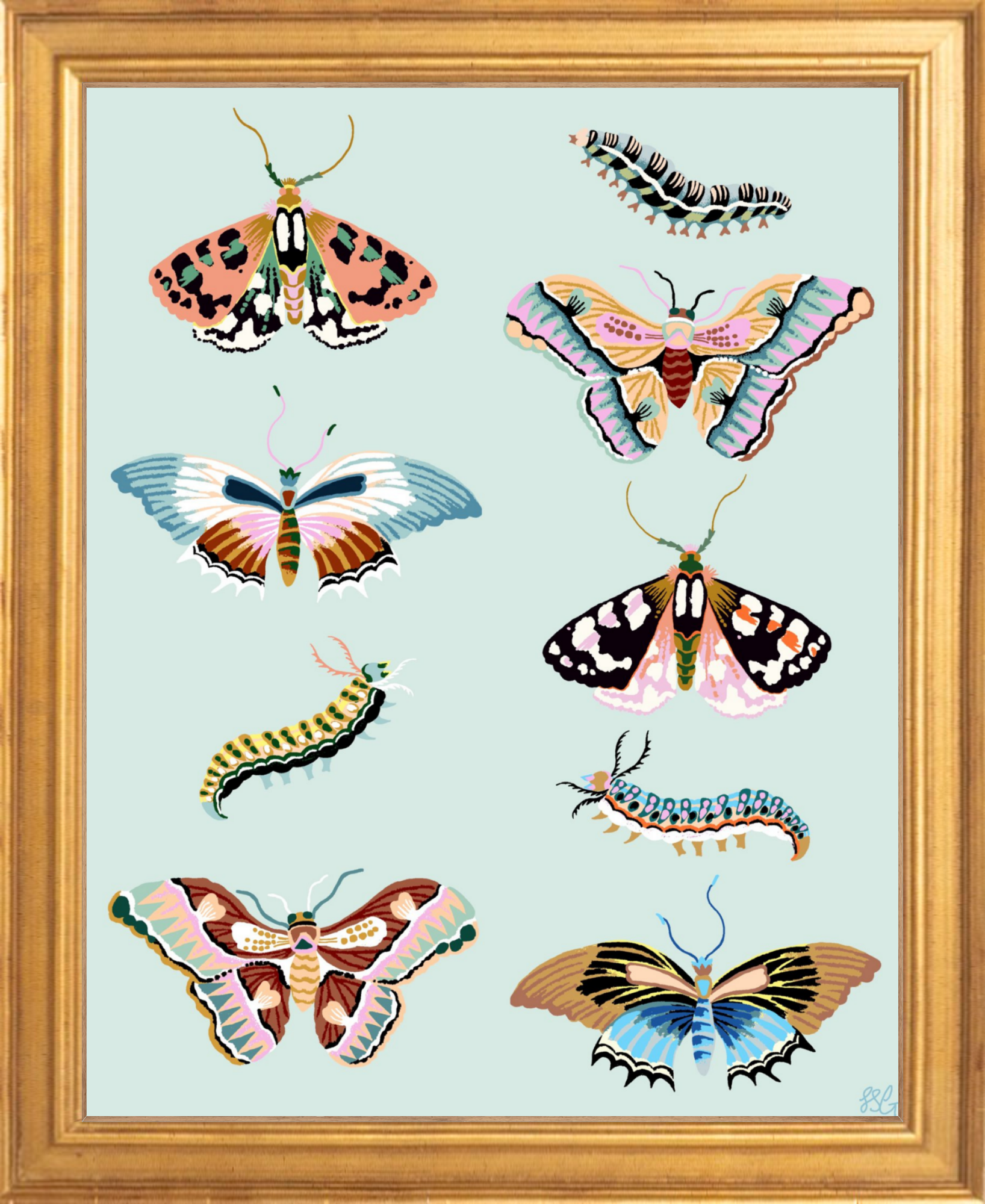 WONDERGARDEN BUTTERFLY 8" x 10"