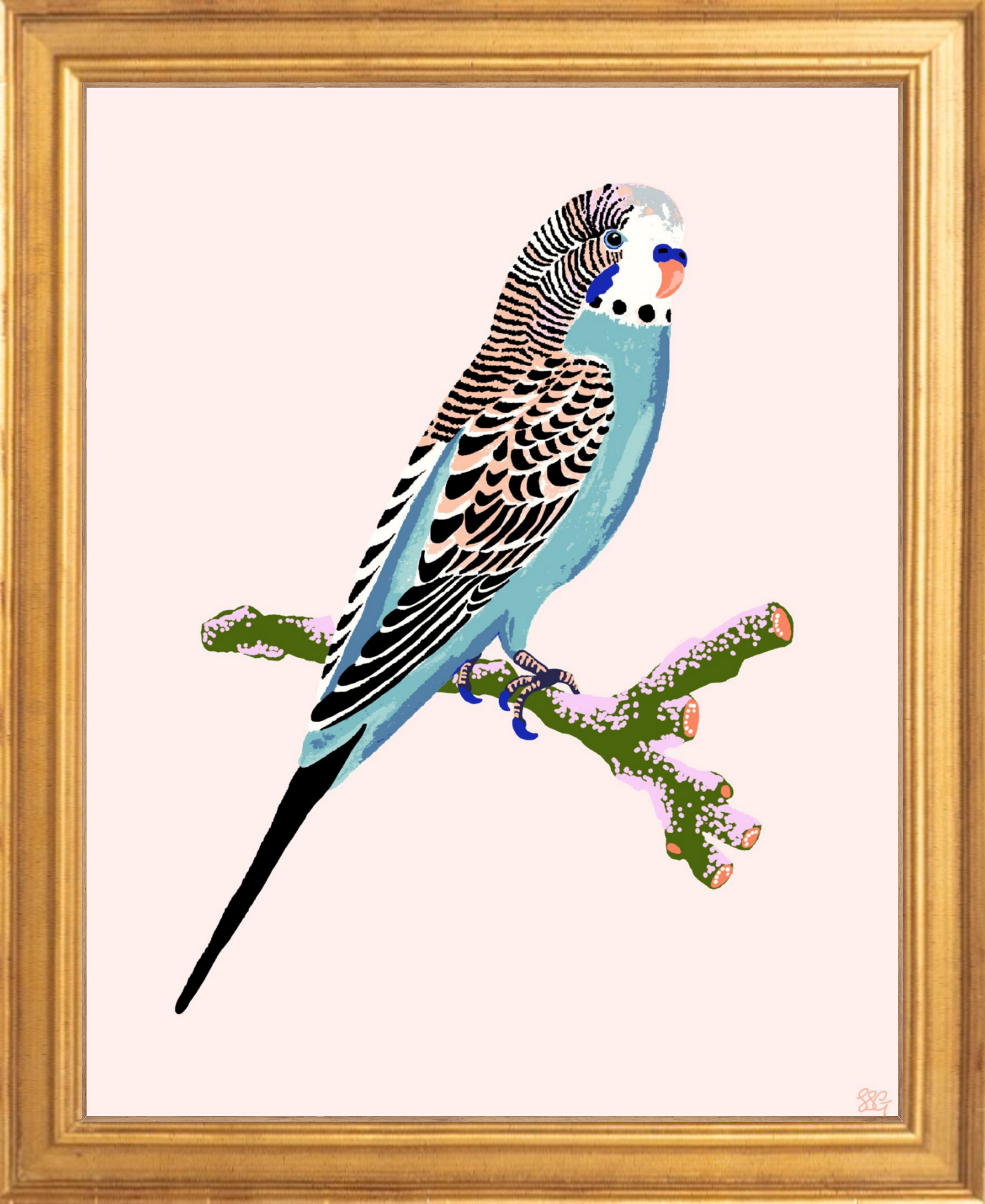 BUDGERIGAR 8" x 10" in 2 color options