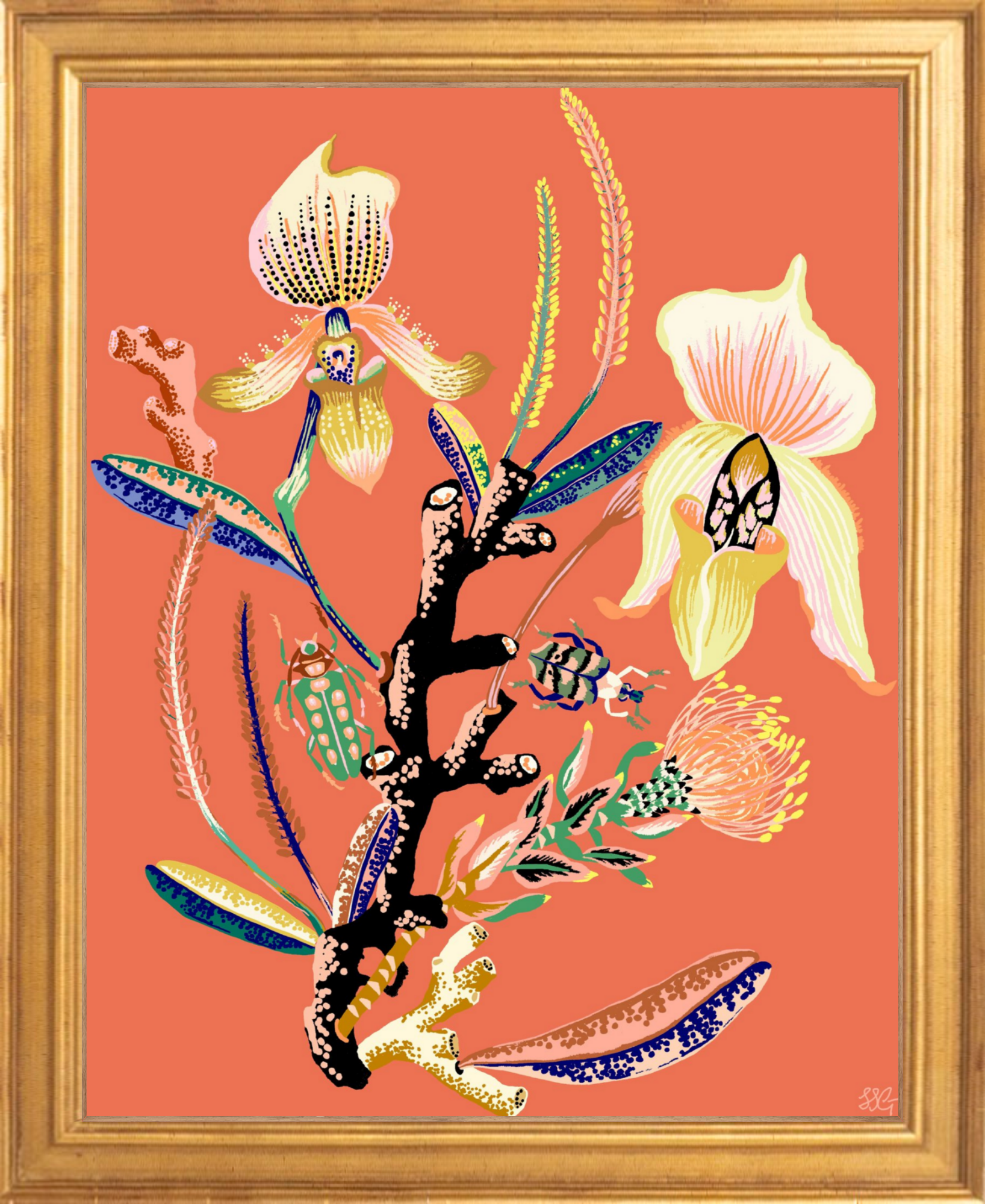 WONDERGARDEN ORCHID 8" x 10"