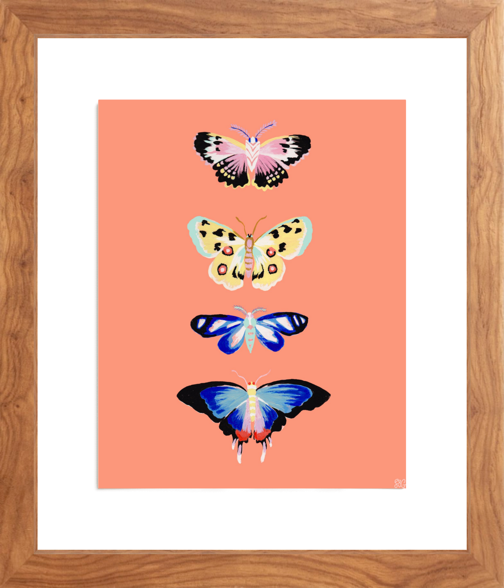 CORAL BUTTERFLY 8" x 10"