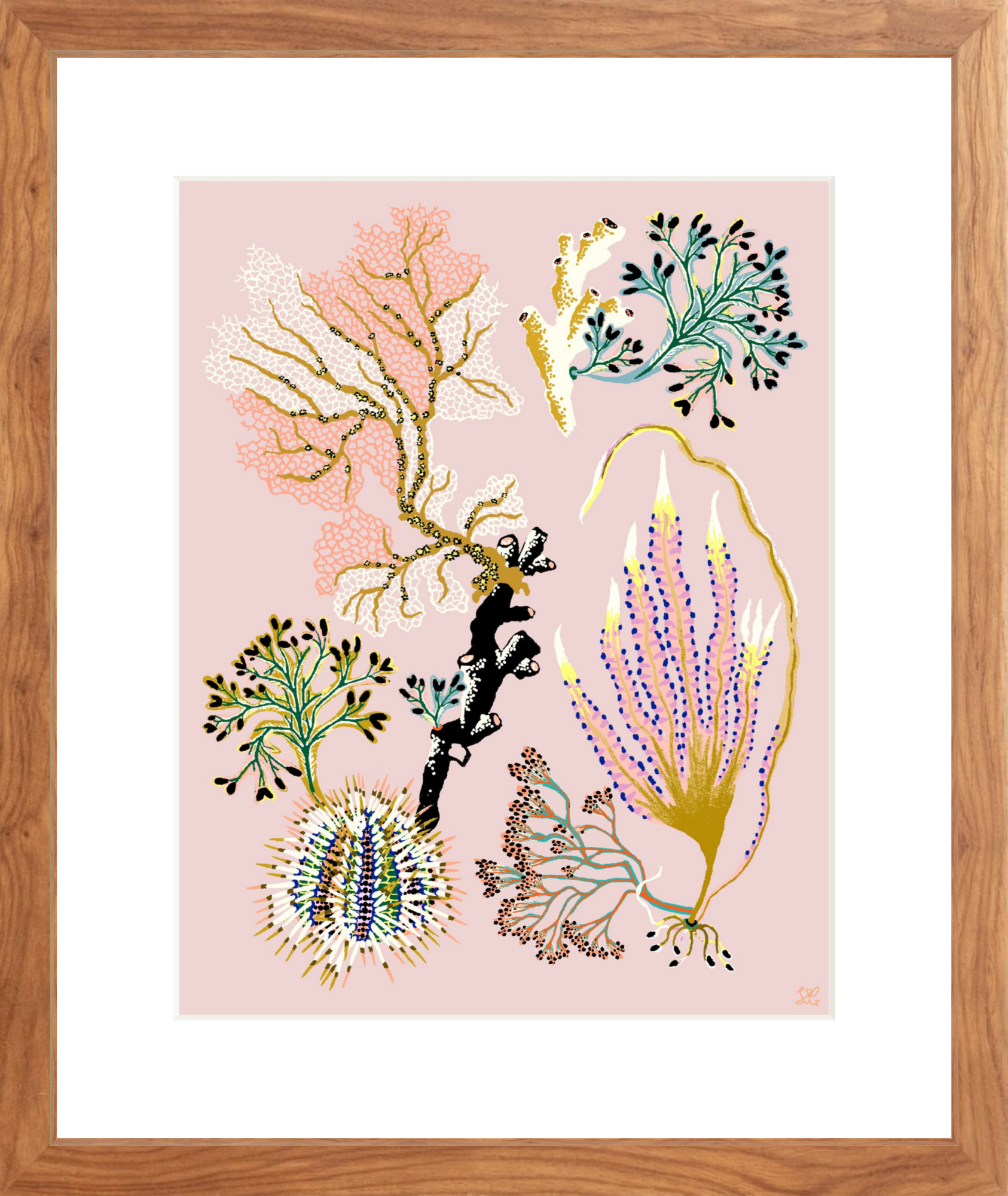 SEA GARDEN URCHIN 11" x 14"