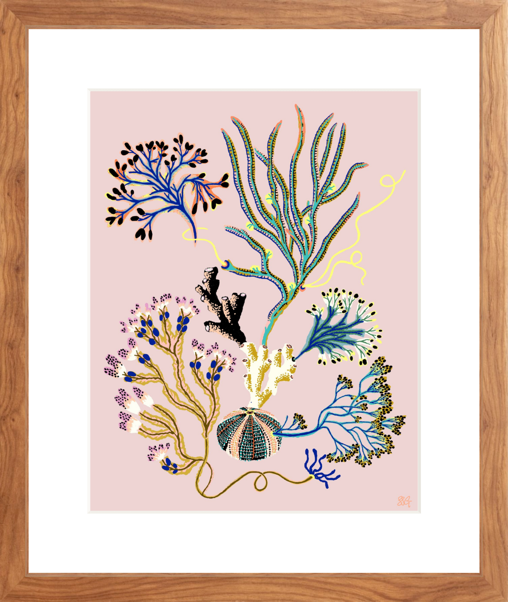 SEA GARDEN VIGNETTE 11" x 14"