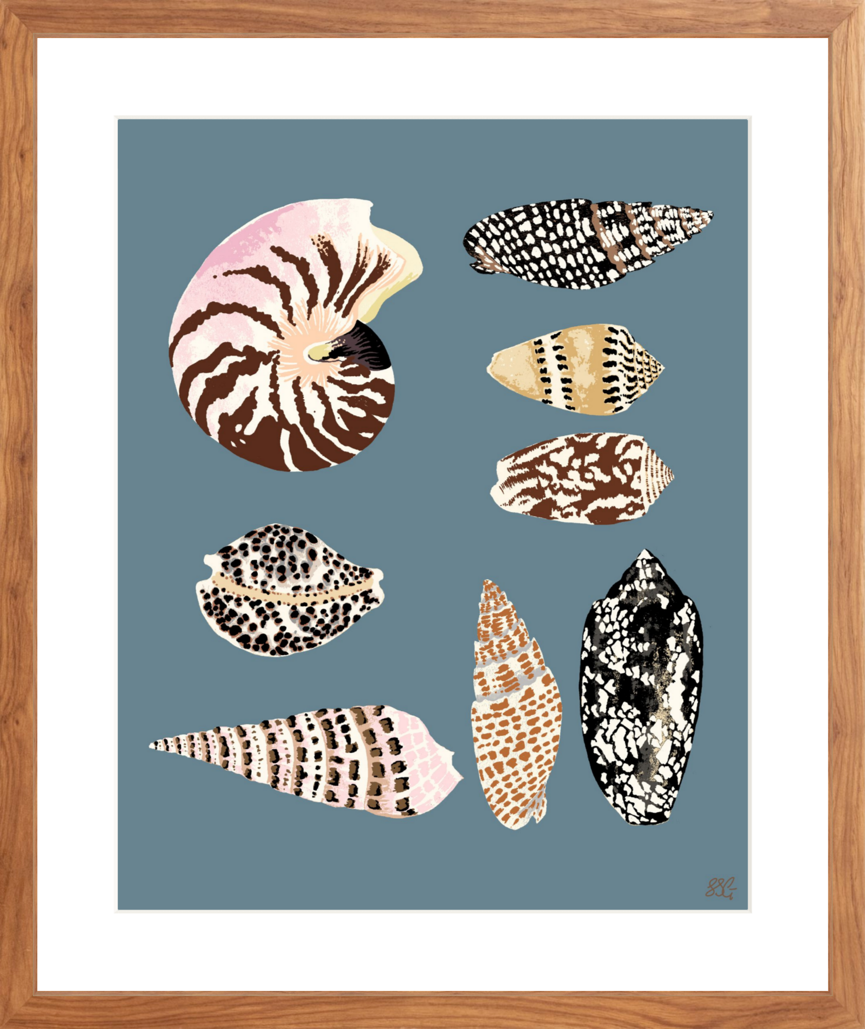FIJI SHELLS 16" x 20" in 2 color options