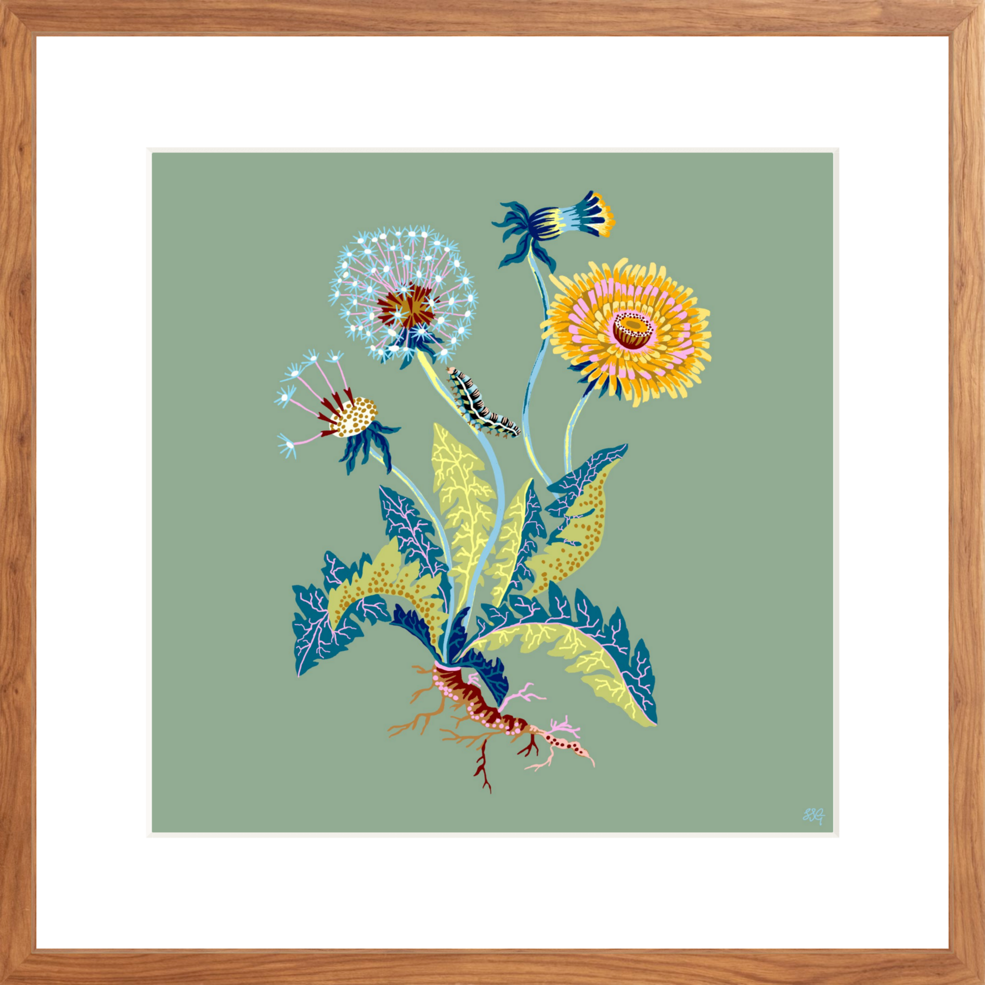 DANDELION 18" x 18"