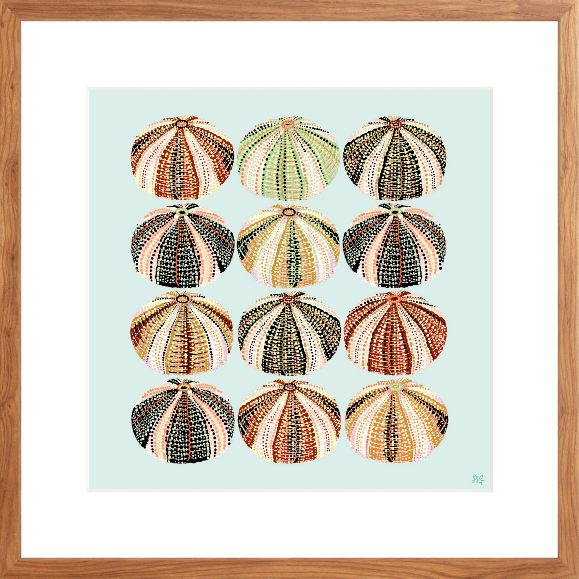 URCHIN 12 WAYS 18" X 18" in 2 color options