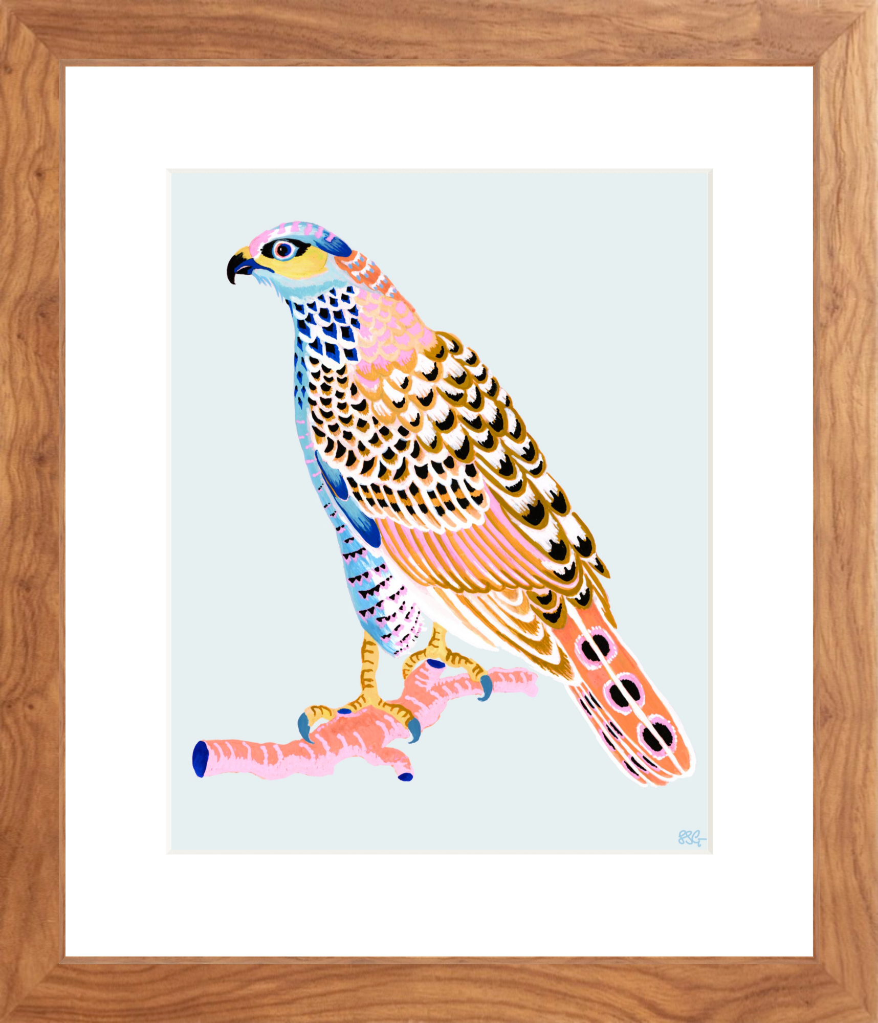 FANCY HAWK 8" x 10" in 2 color options