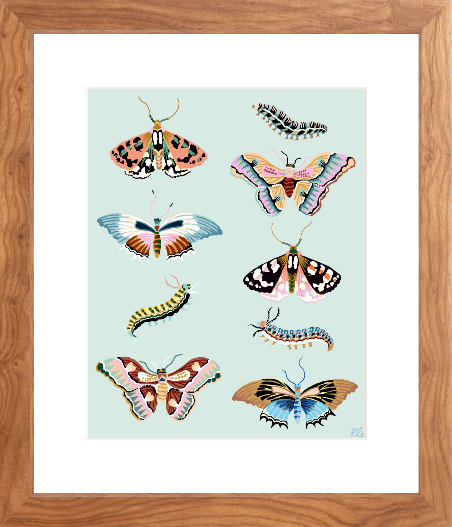WONDERGARDEN BUTTERFLY 8" x 10"