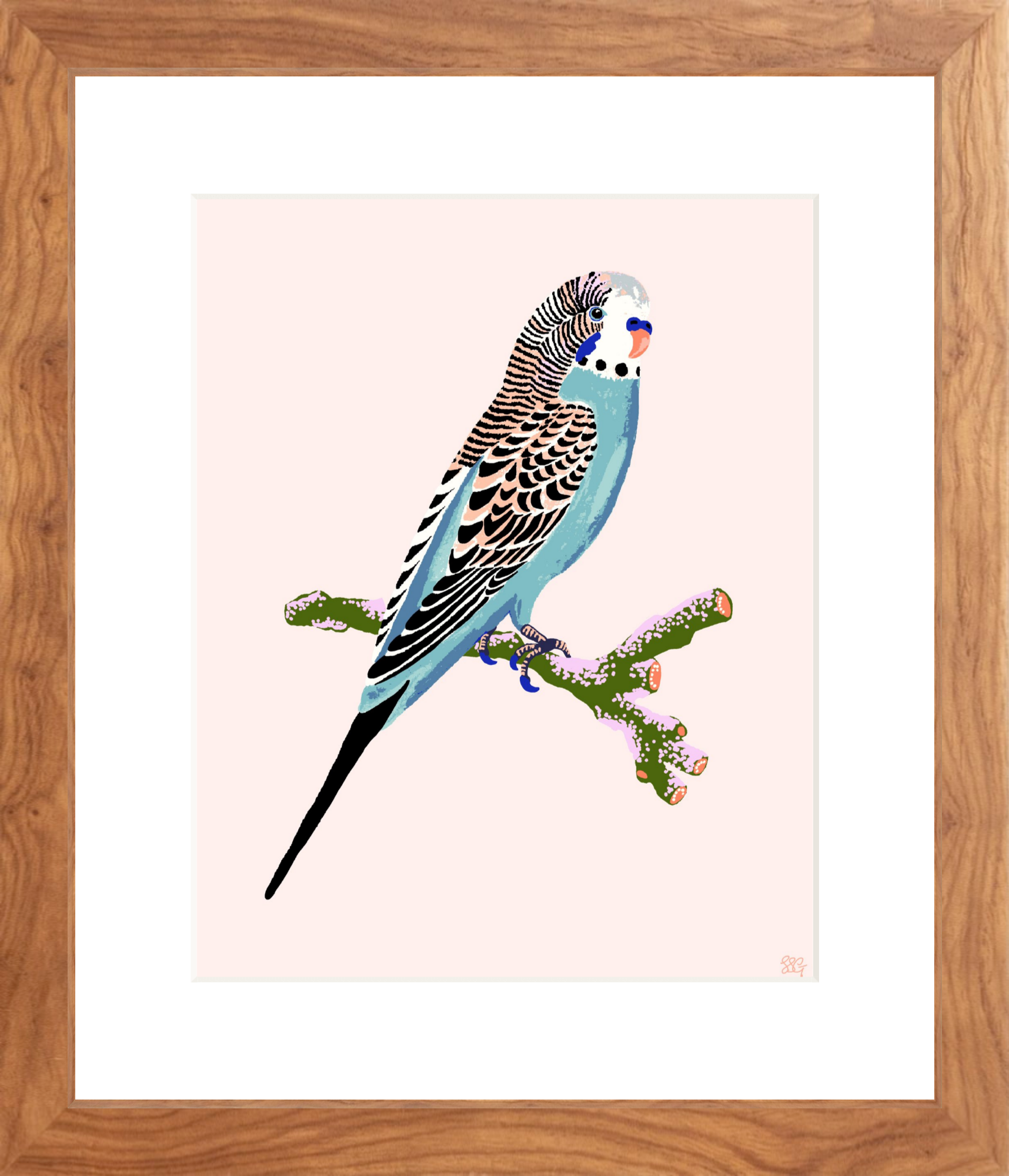 BUDGERIGAR 8" x 10" in 2 color options