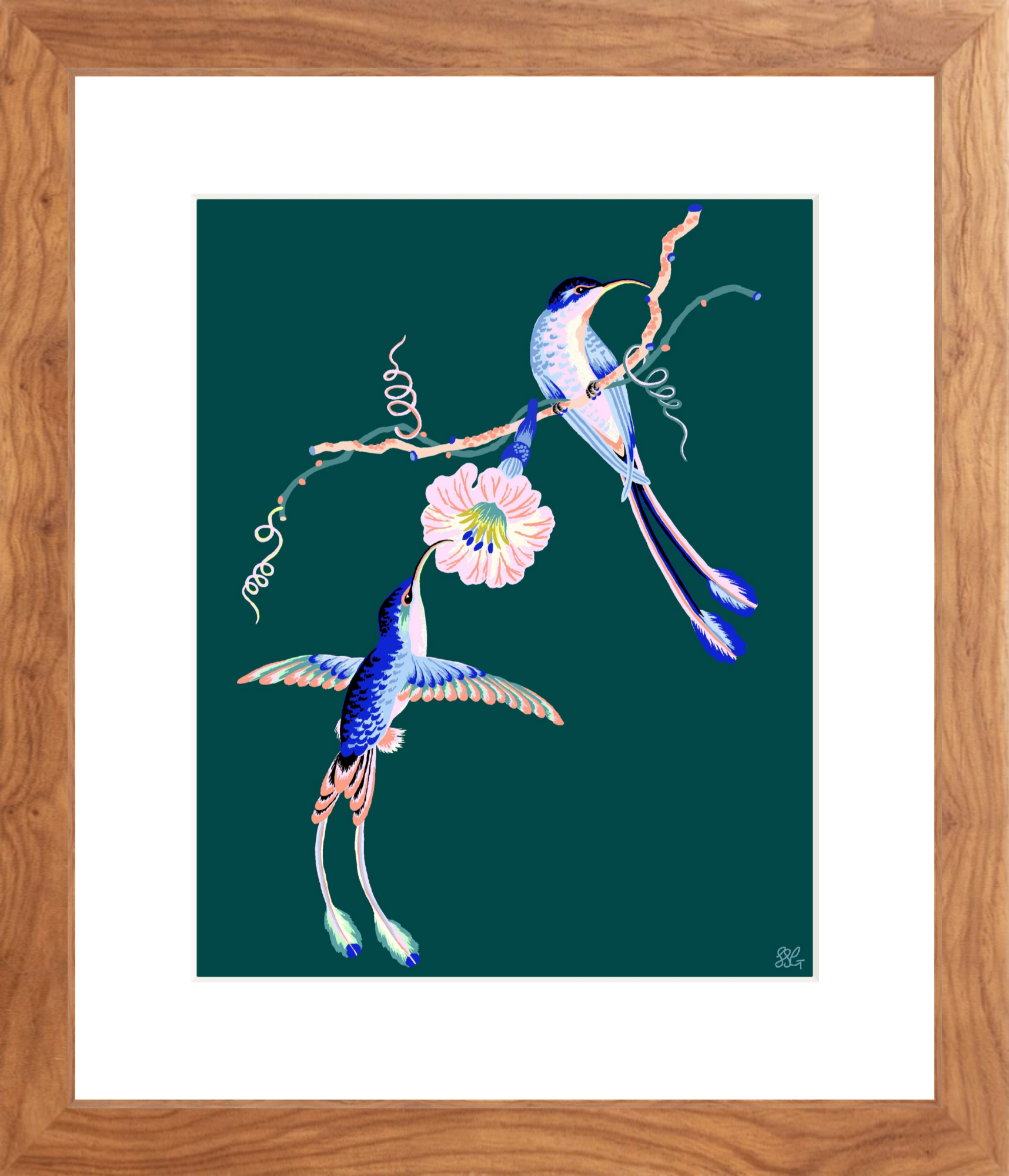HUMMINGBIRDS 8" x 10" in 2 color options